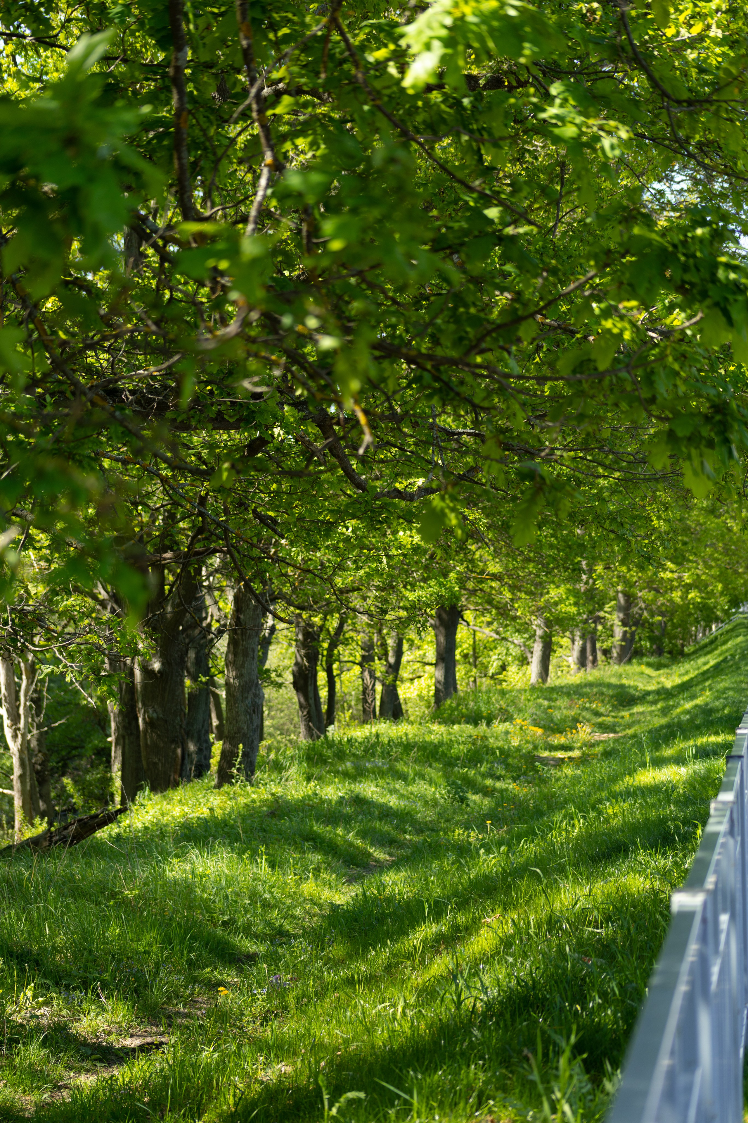 Торпедо. Фотограф Мурманск | Нижний Новгород • Анна Хижняк