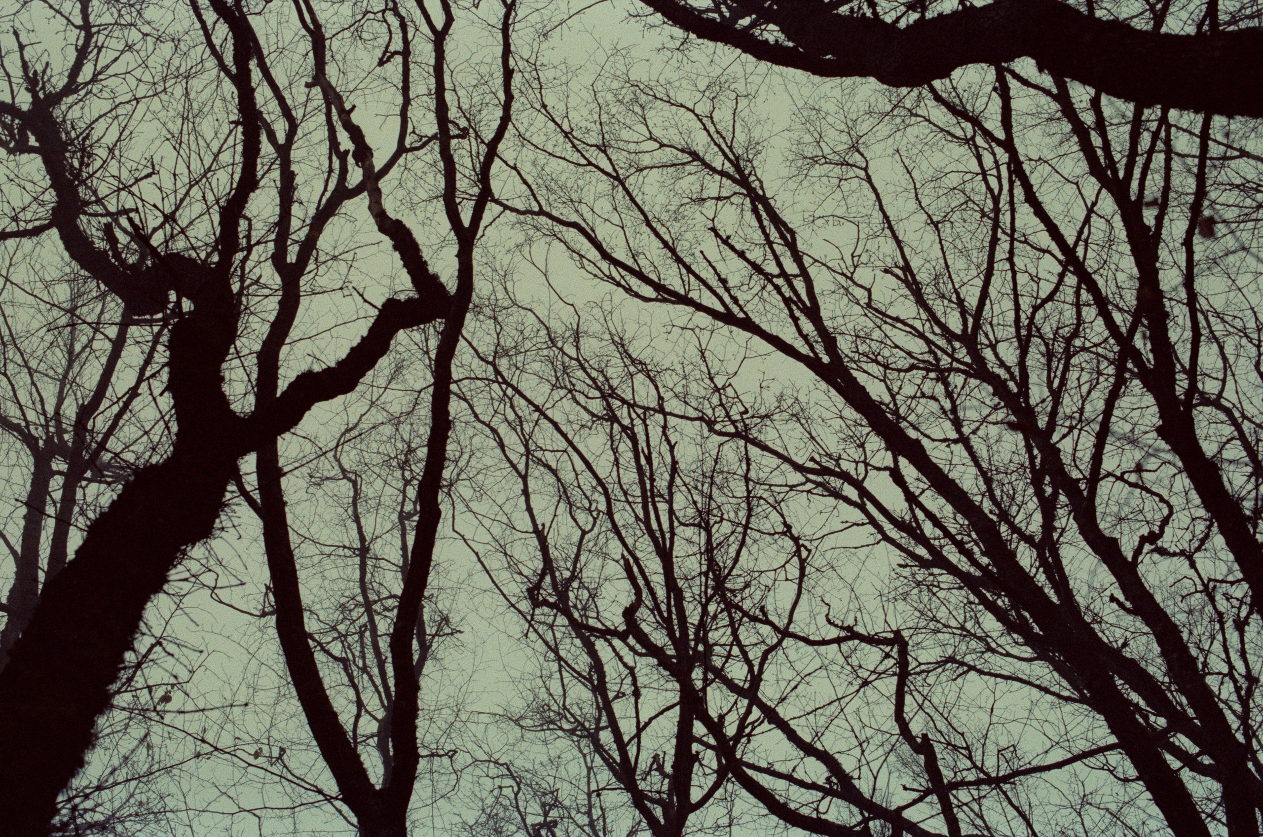 Some kind of madness // ukraine, crimea. EVER EXPOSED