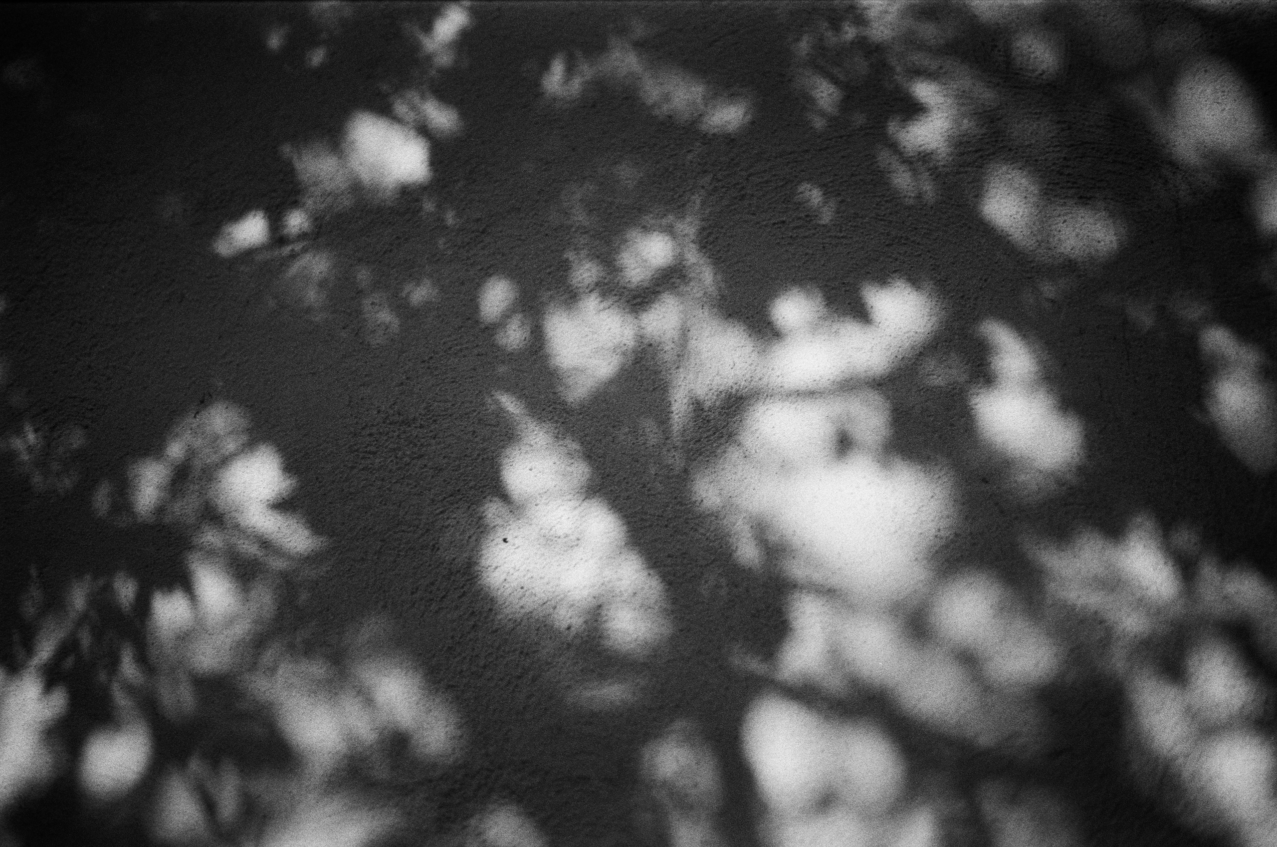 Spanish sahara // spain, granada II. EVER EXPOSED