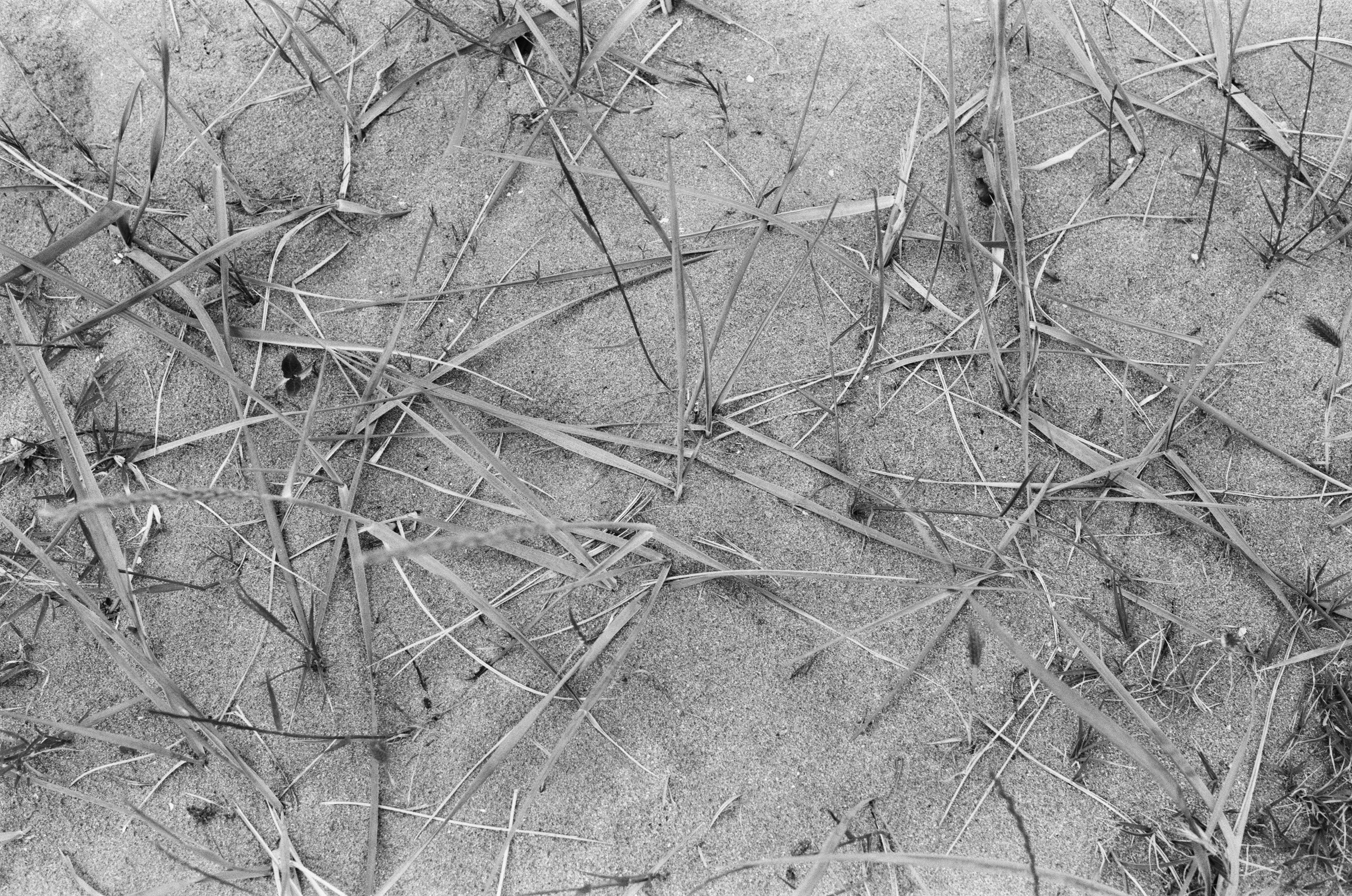 Sparks // ukraine, crimea. EVER EXPOSED