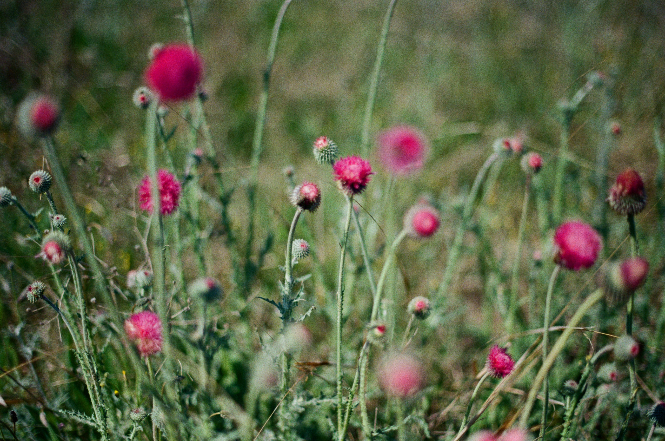 The drugs don't work // ukraine, crimea. EVER EXPOSED