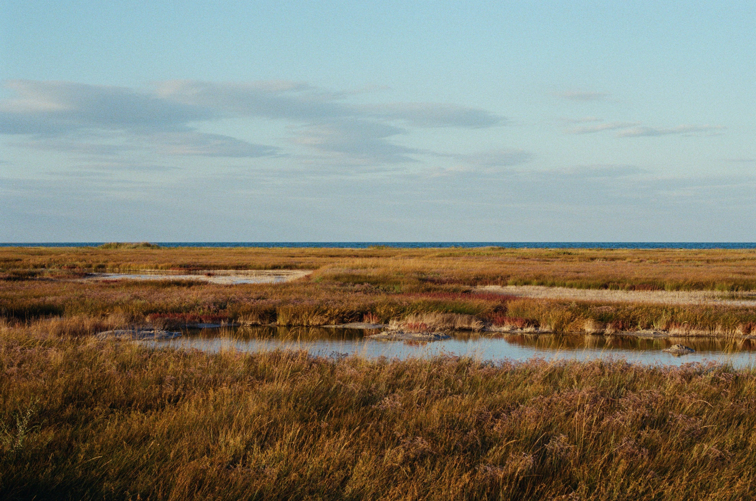 Your guardian angel // ukraine, crimea II. EVER EXPOSED