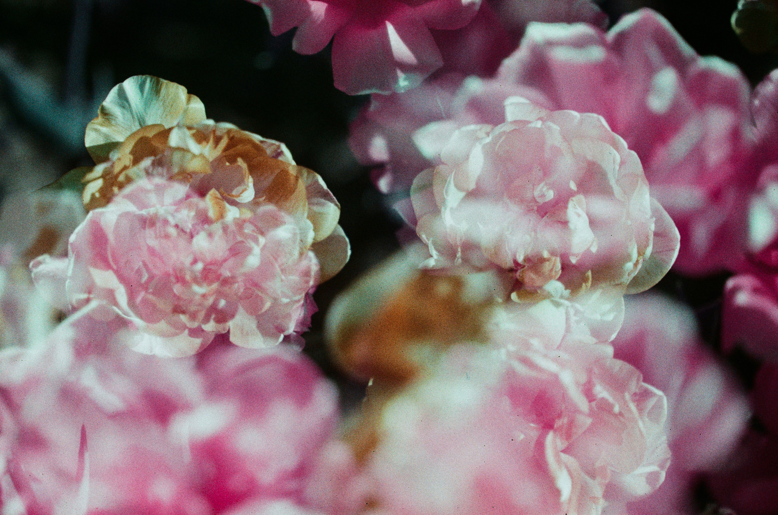 Press enter to exit // ukraine, crimea X. EVER EXPOSED