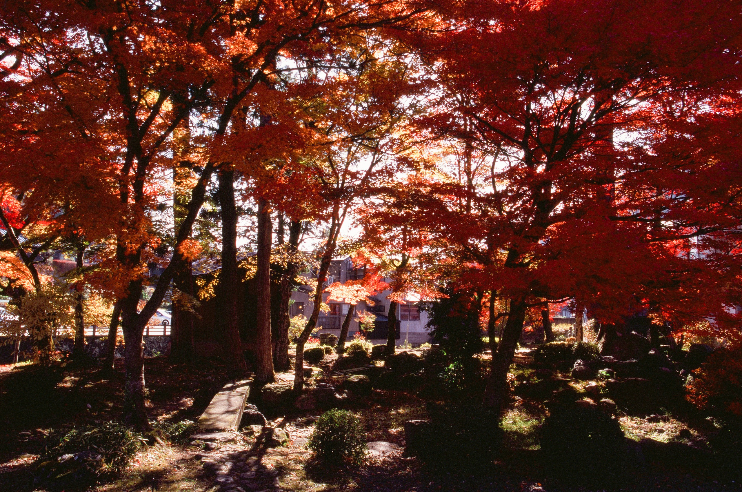 Out of noise // japan, takayama III. EVER EXPOSED