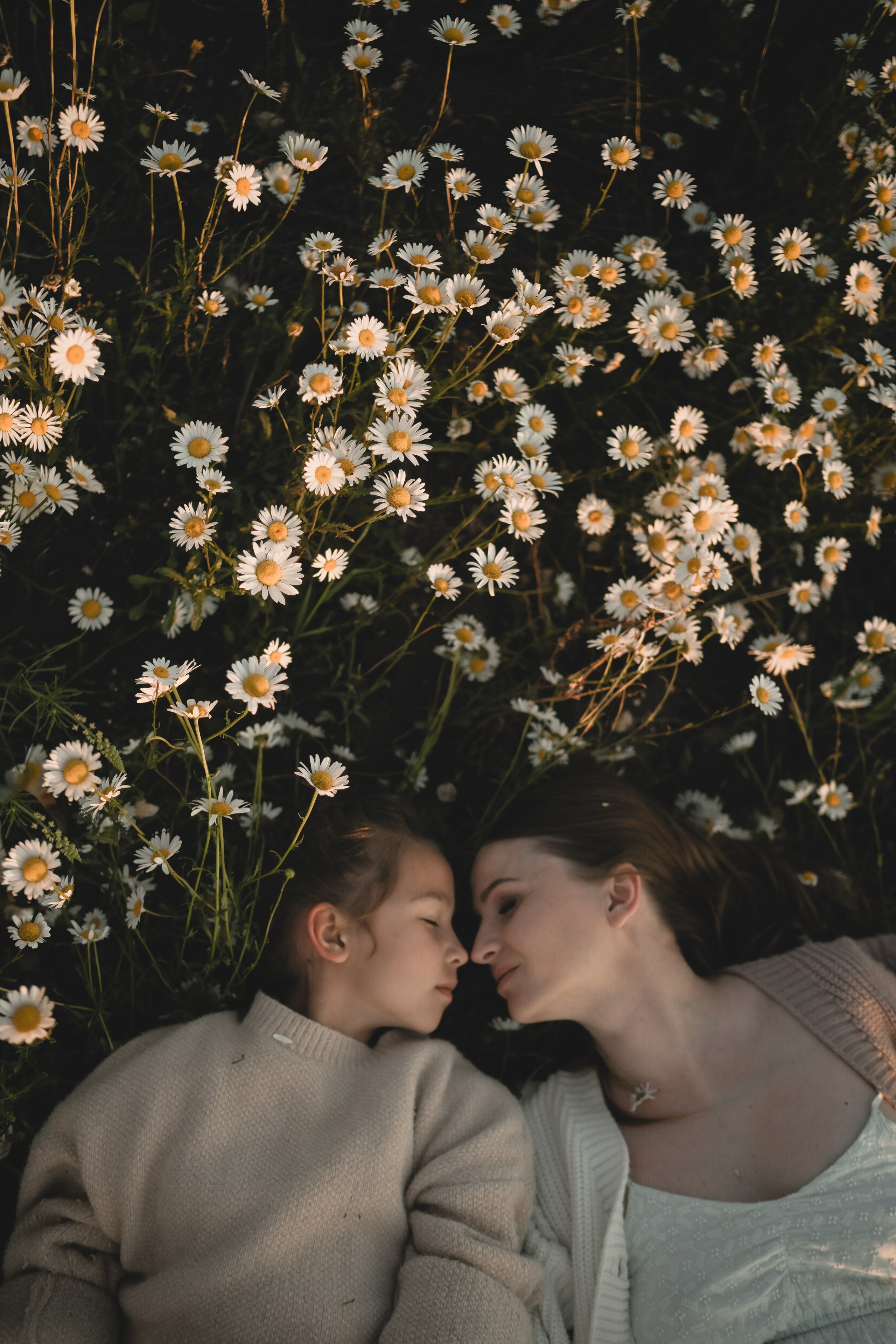 Семейная фотосессия в ромашковом поле в Крыму. Свадебный и семейный фотограф и видеограф, Крым, Москва, Санкт -Петербург