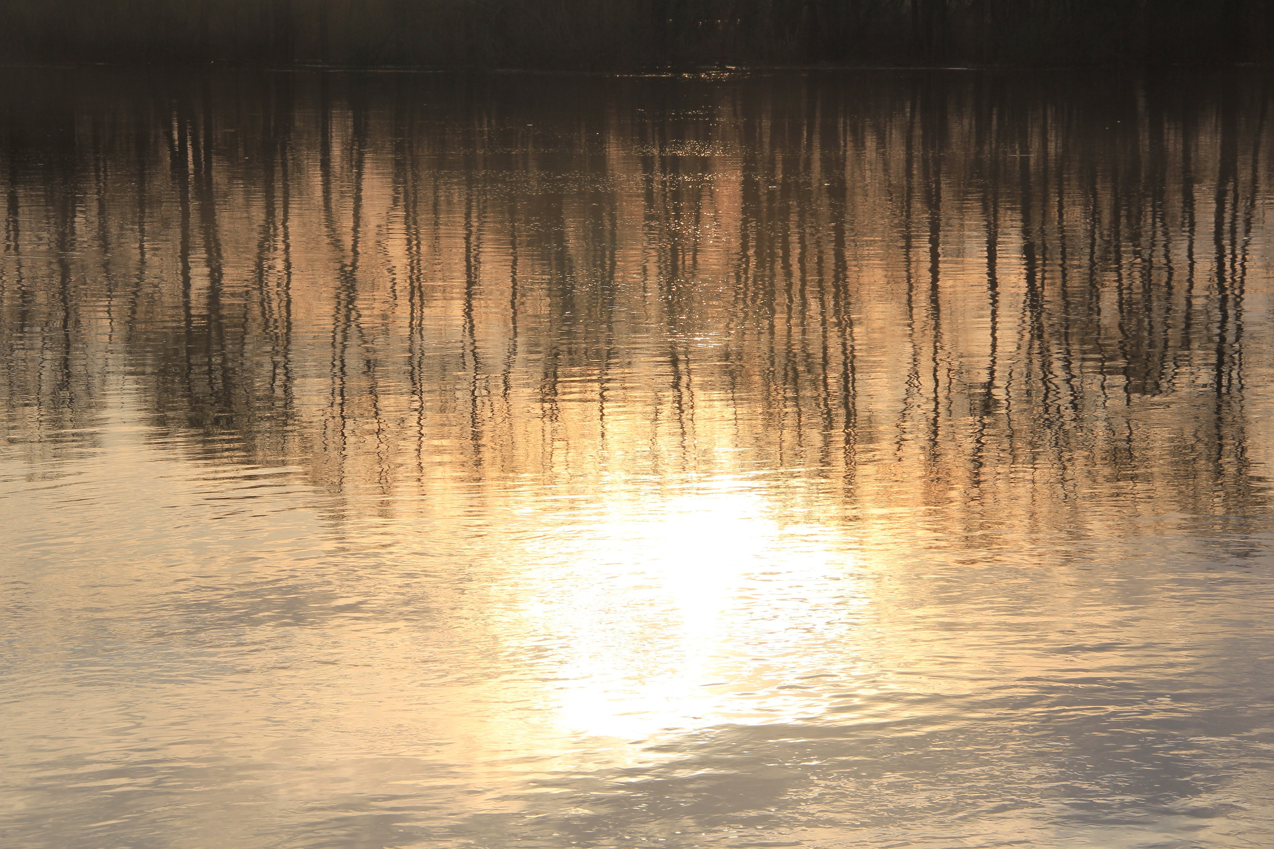 Пища для глаз. Ваш фотограф Северск | Томск