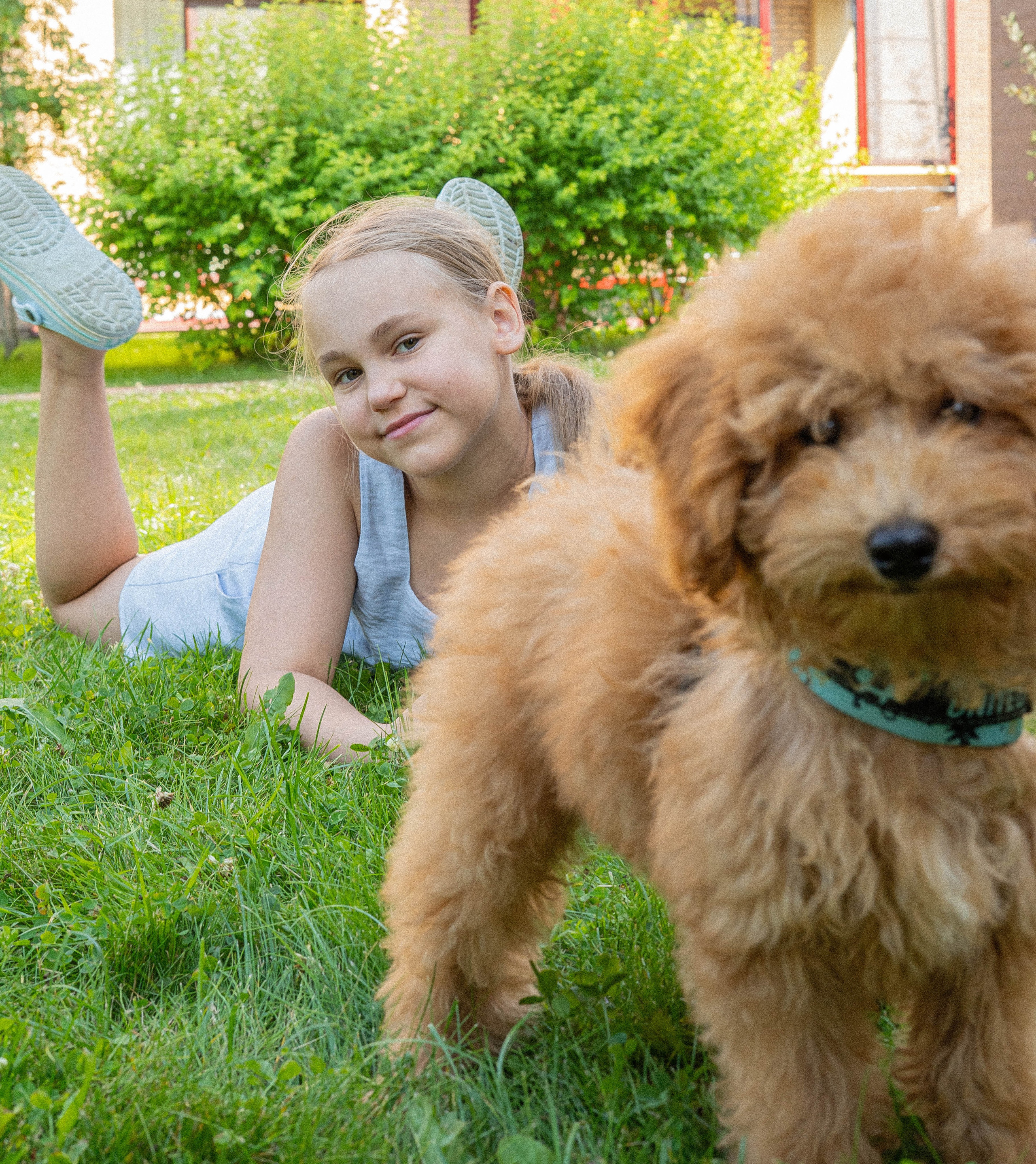 Прогулочная фотосессия Новосибирск Краснообск Love-story  фотосессия Новосибирск Краснообск