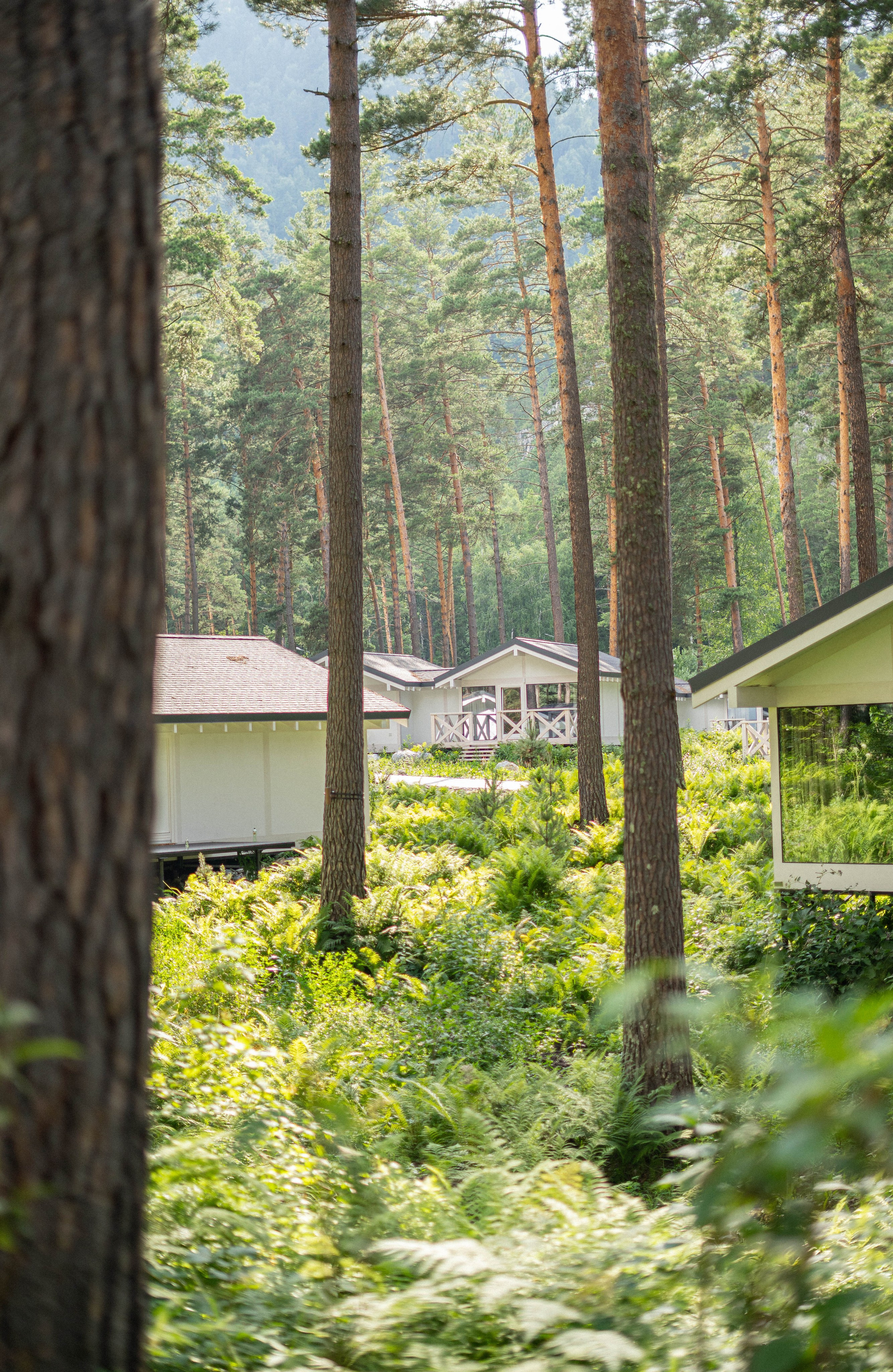 Фотосессия на природе Новосибирск Краснообск