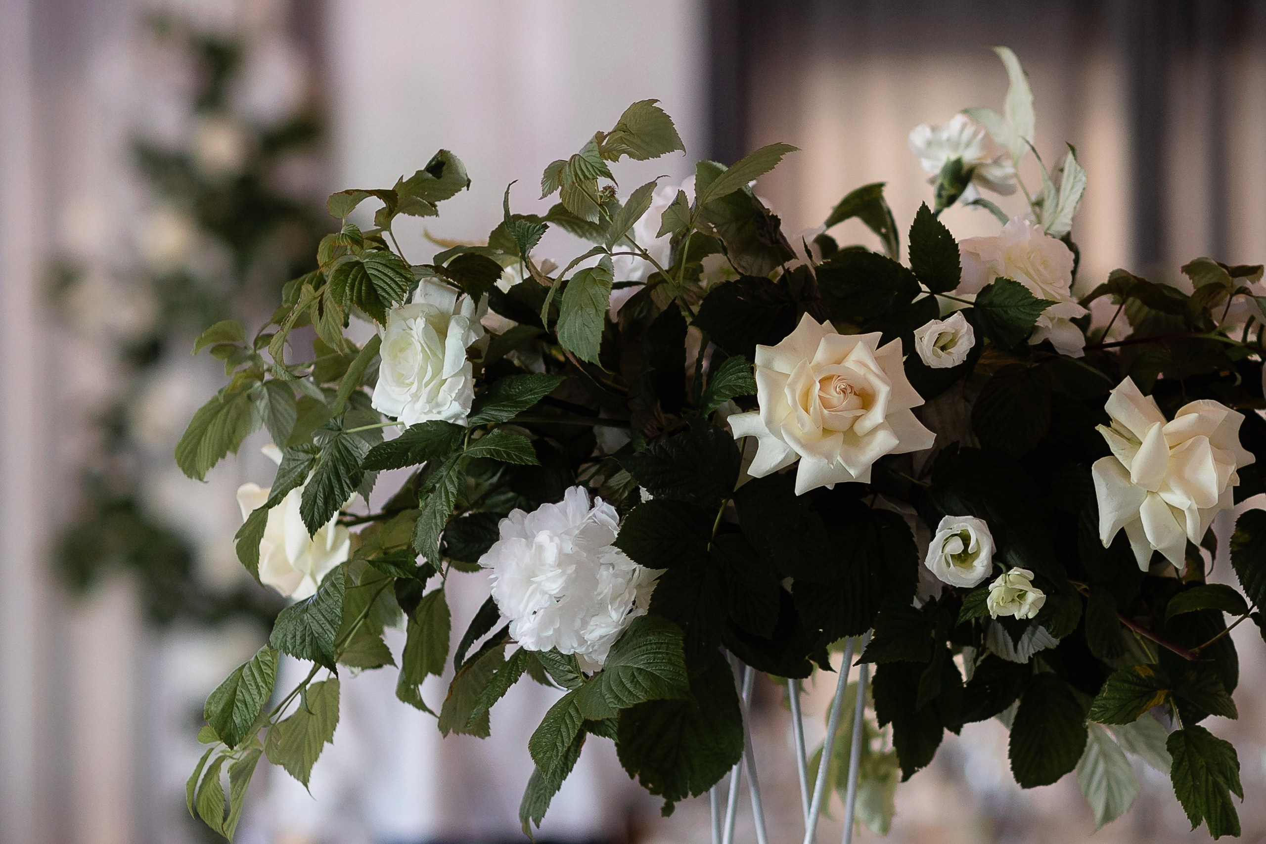 Юля и Александр. Свадебный и семейный фотограф Татьяна Ласкина в Великом Новгороде