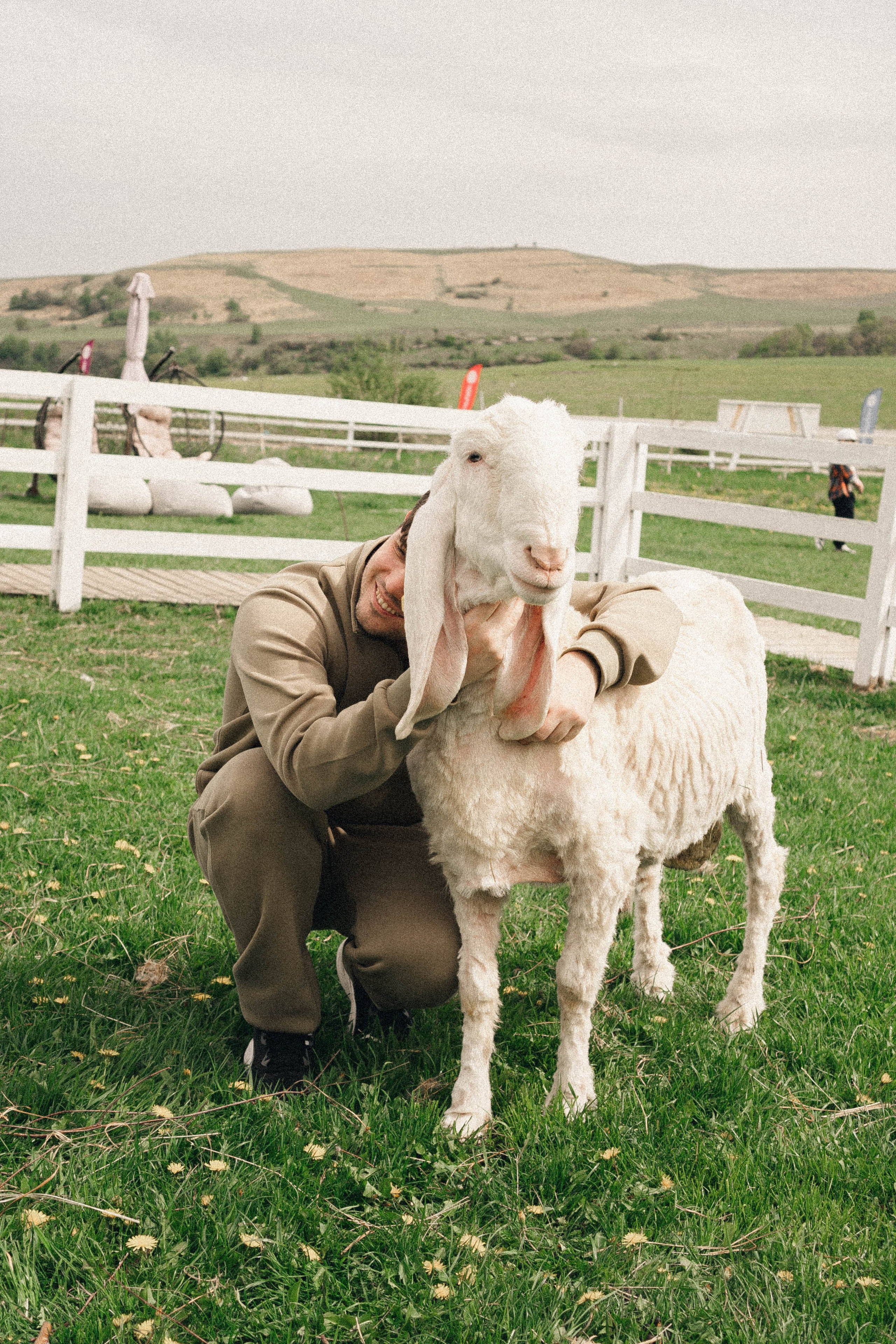 Ферма Альпак. Профессиональный фотограф, Санкт-Петербург — Виктория Богомолова
