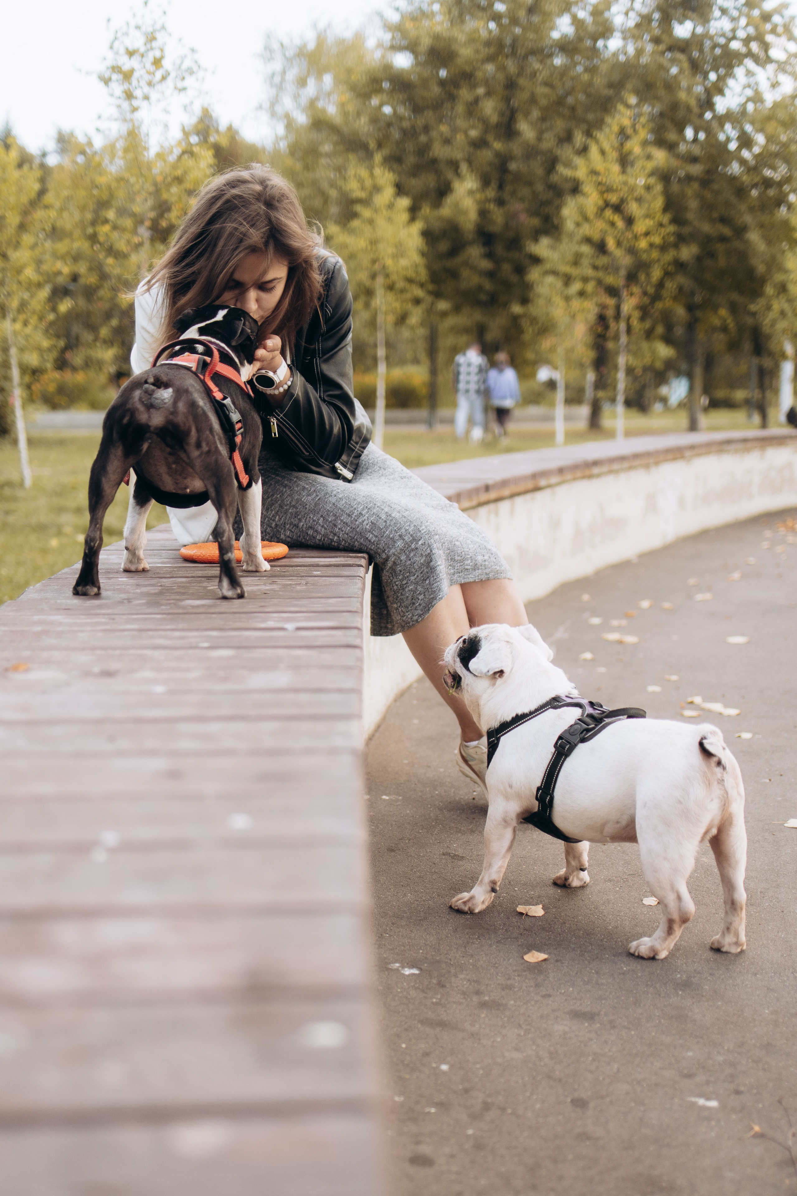 Оля и бульдоги