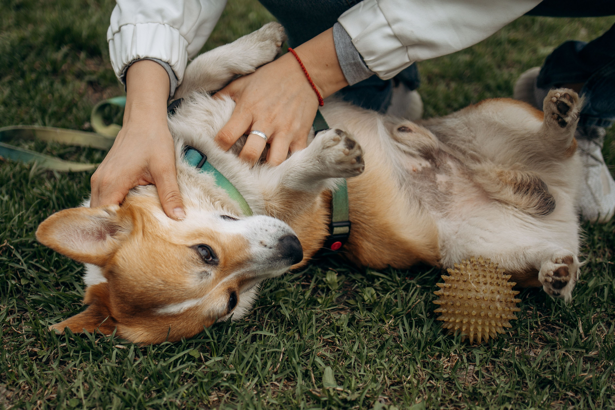 Екатерина и Альфи