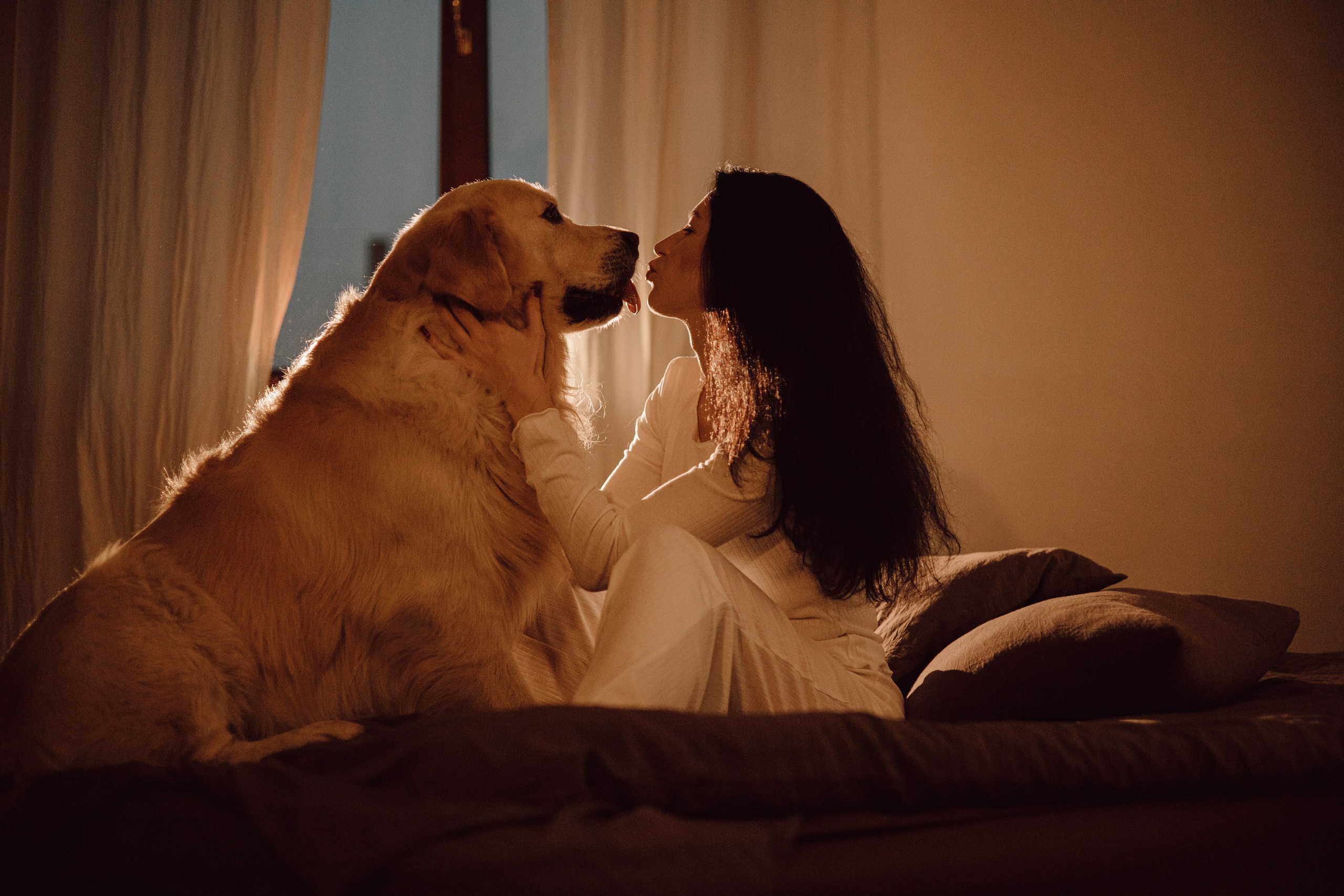 Лёва и его семья. Фотограф — анималист •love-story•|Санкт-Петербург