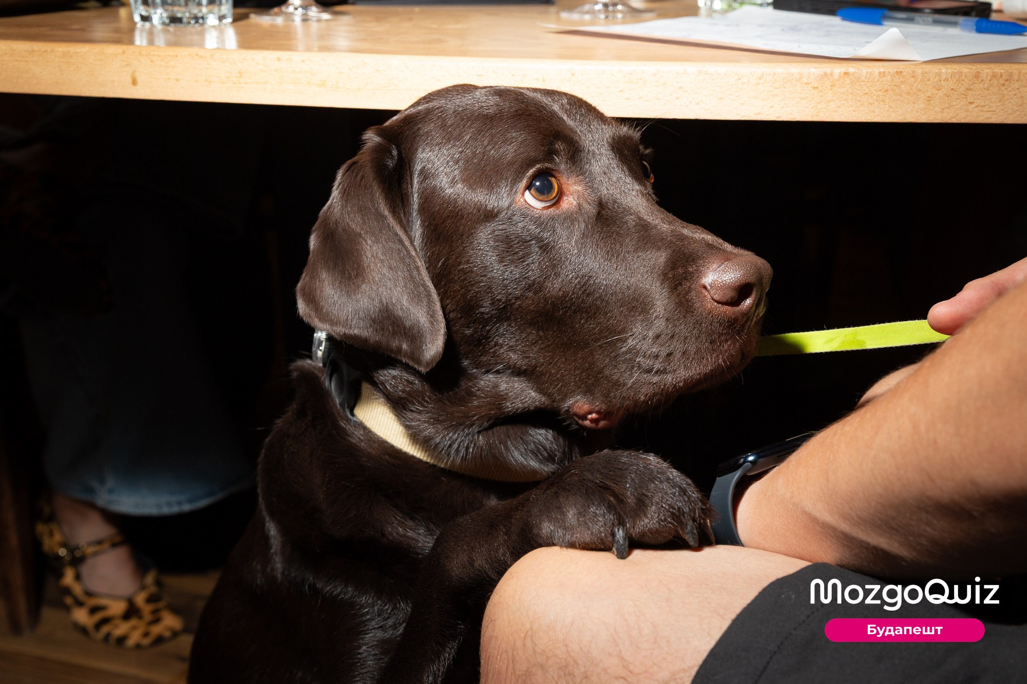 MozgoQUIZ BUDAPEST. Photographer in Budapest  — Yura Knyazev