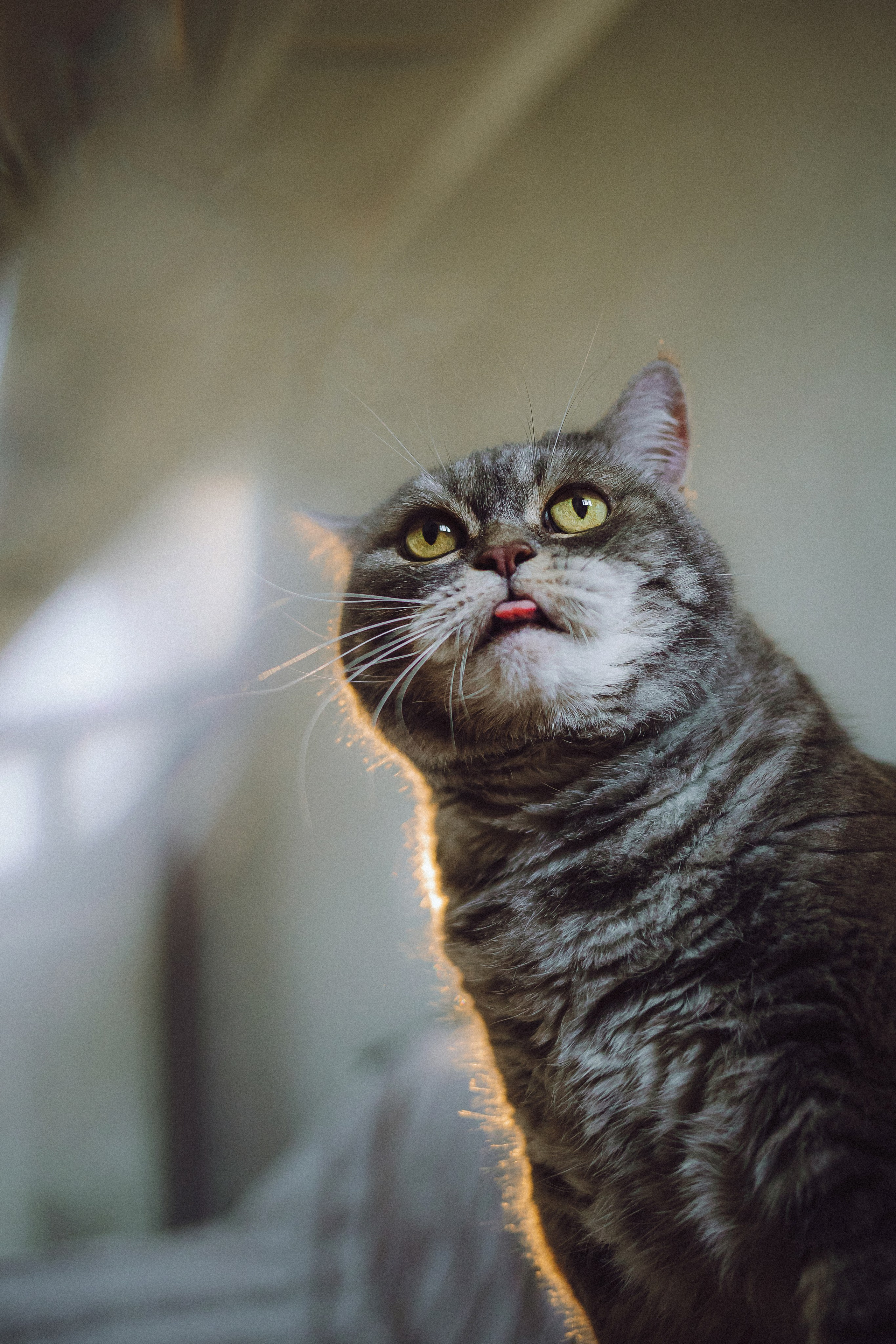 Яся и ее семья