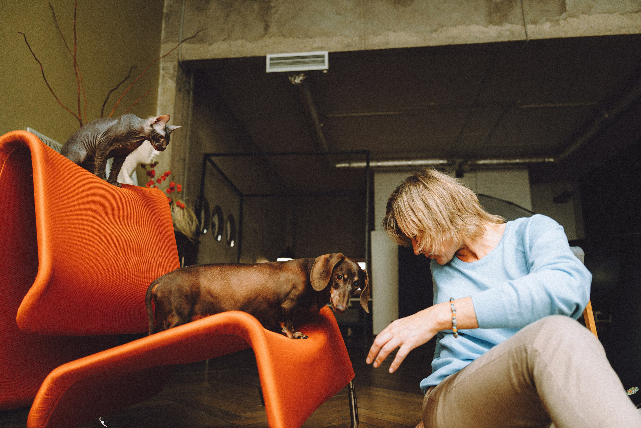 Кокос, Света, Динара и Вилли