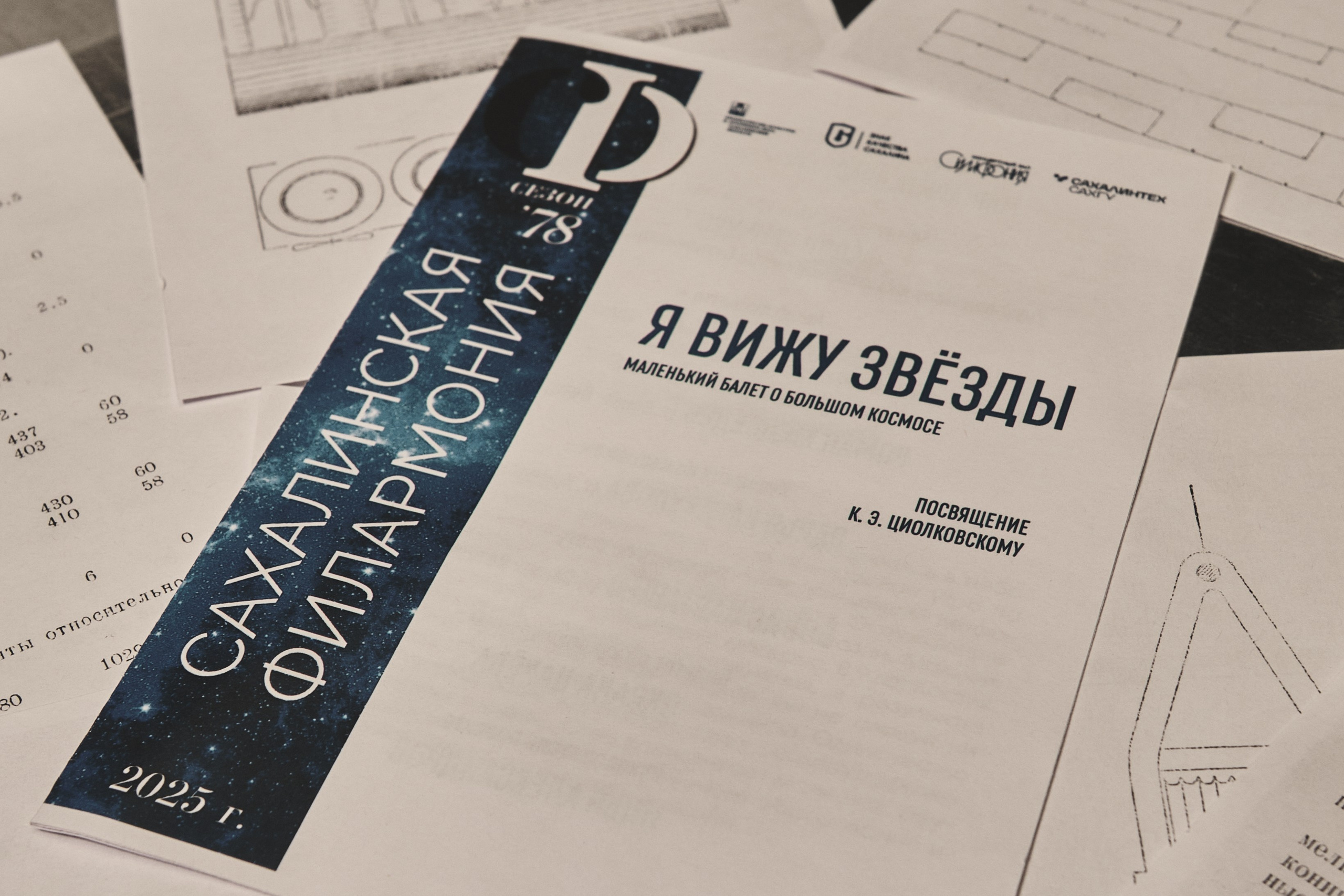 Спектакль «Я вижу звезды»