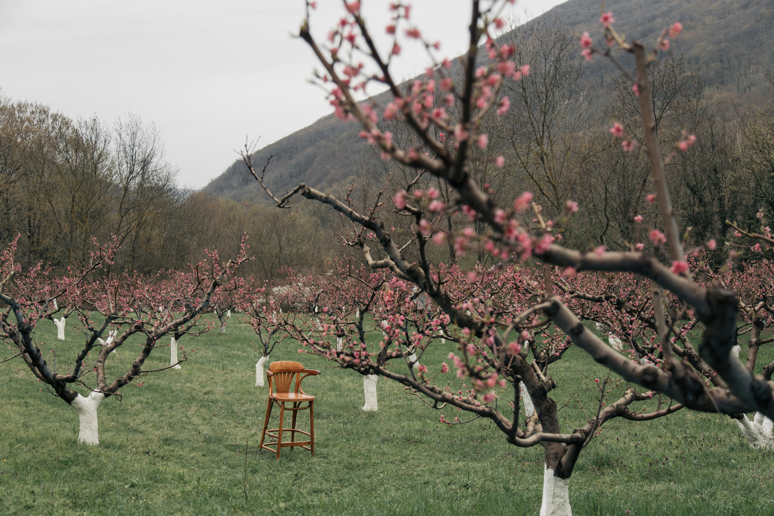 Анна / твоя весна