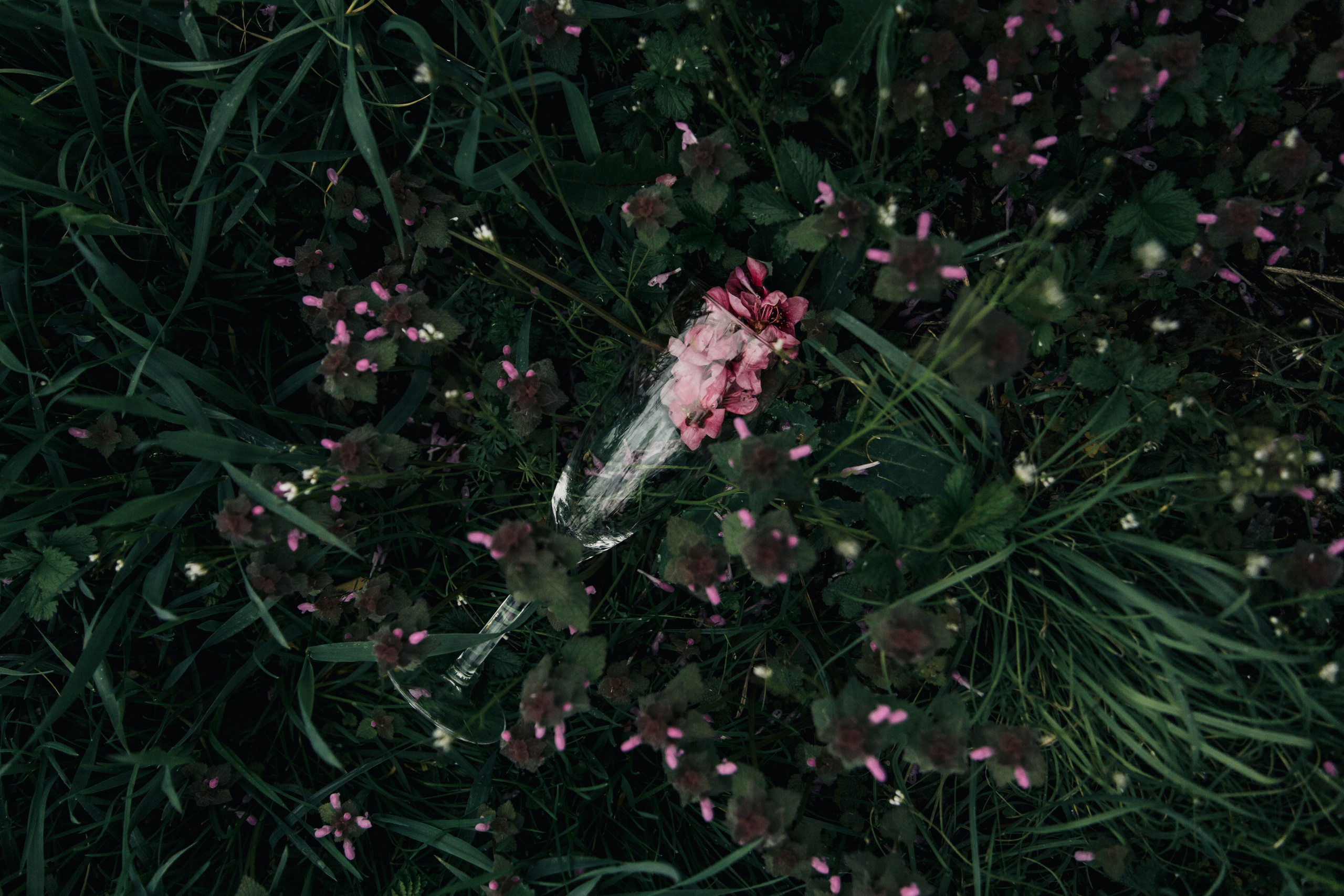 Анна / твоя весна