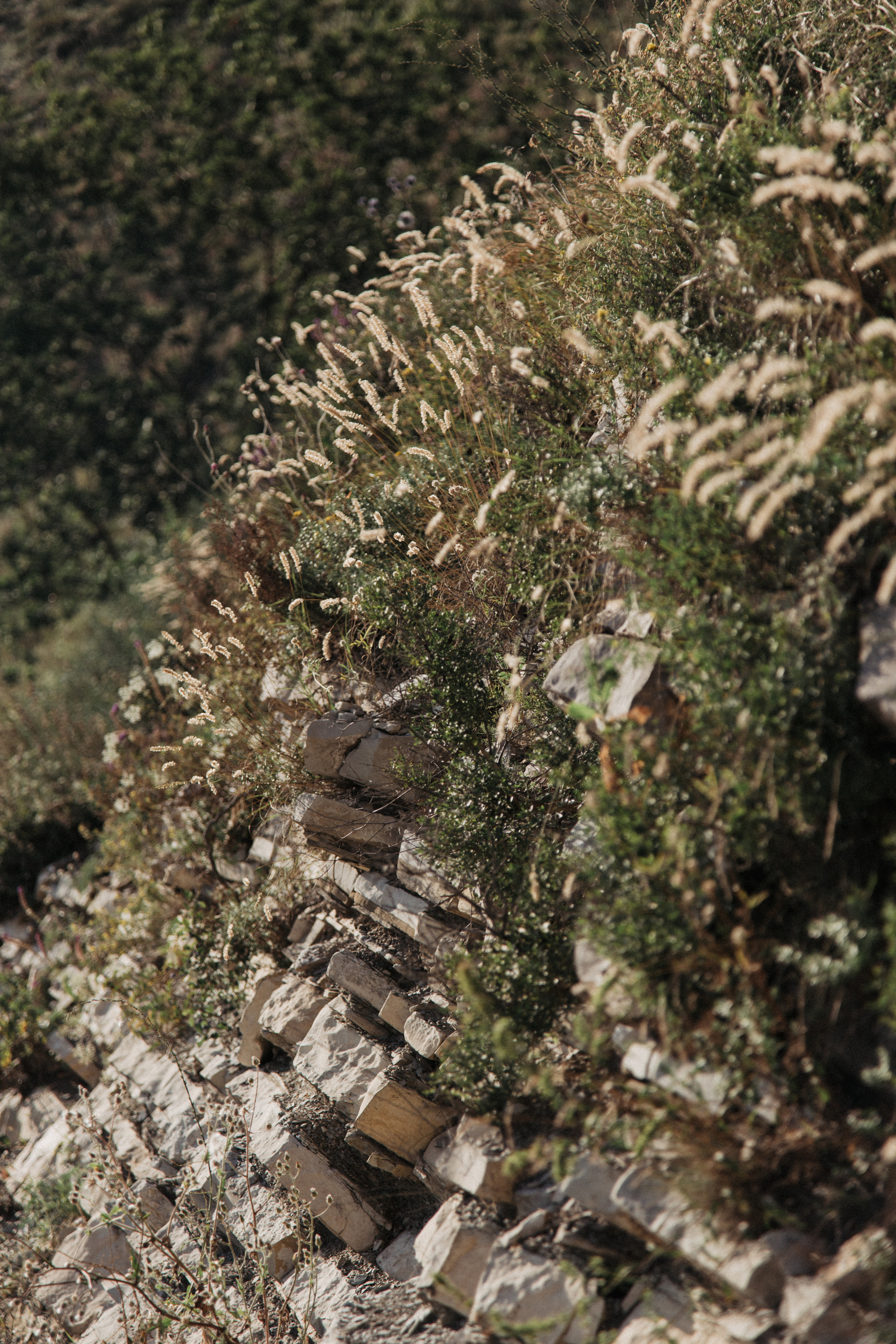 Настя и Вова / please, repeat wedding shoot