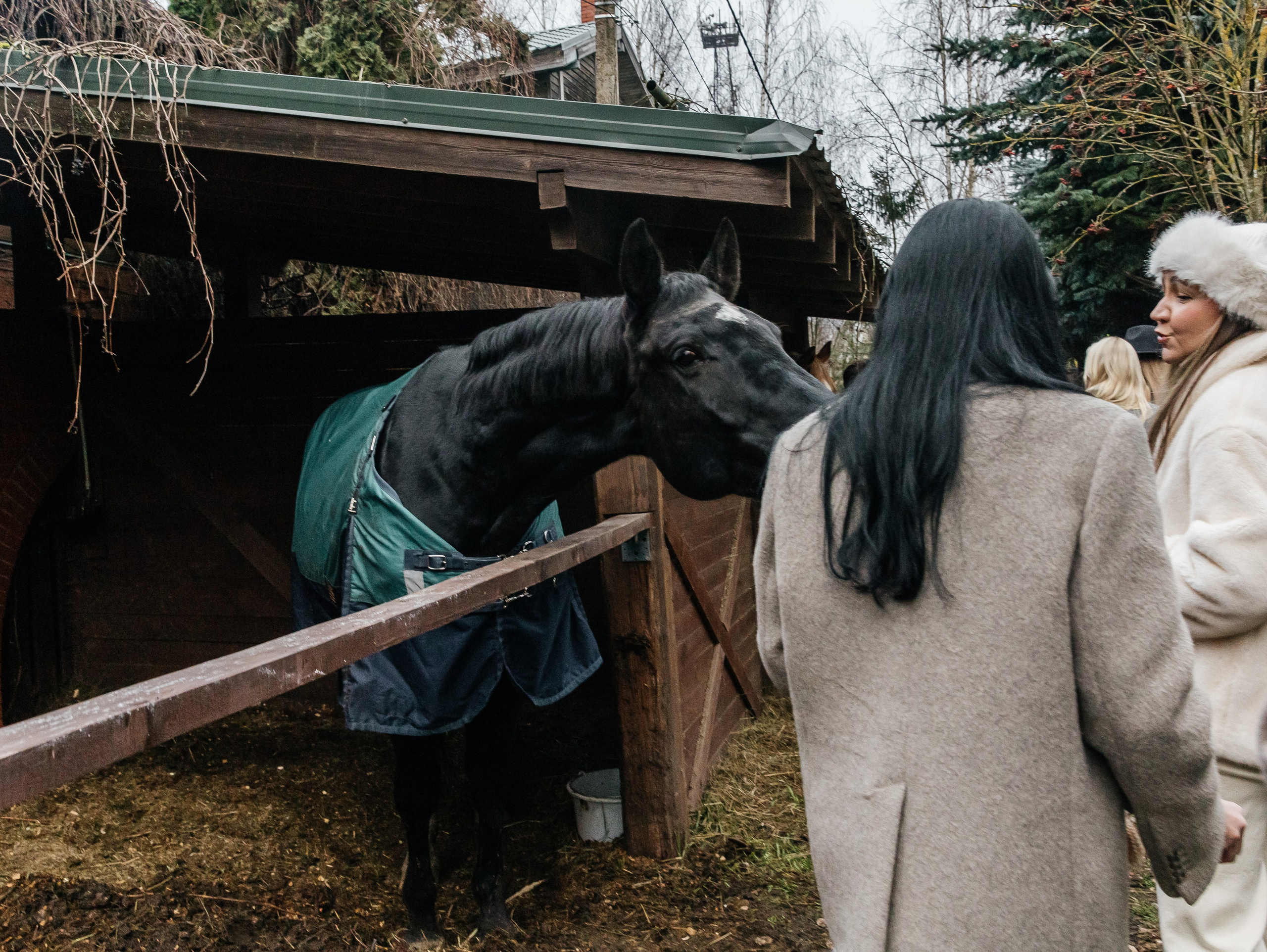 Ферма «Few Horses». Фотограф | портрет | бренды | репортаж