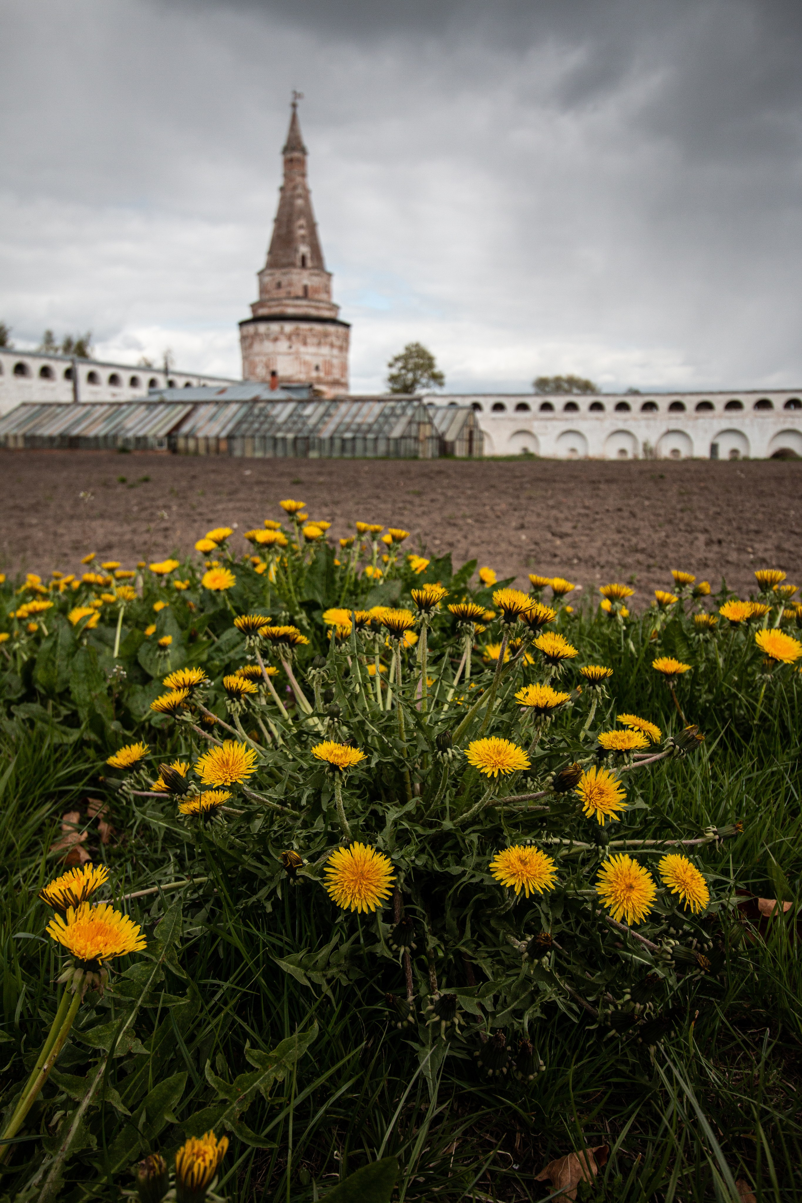 ПЕЙЗАЖ. Фотограф Николай Костюк