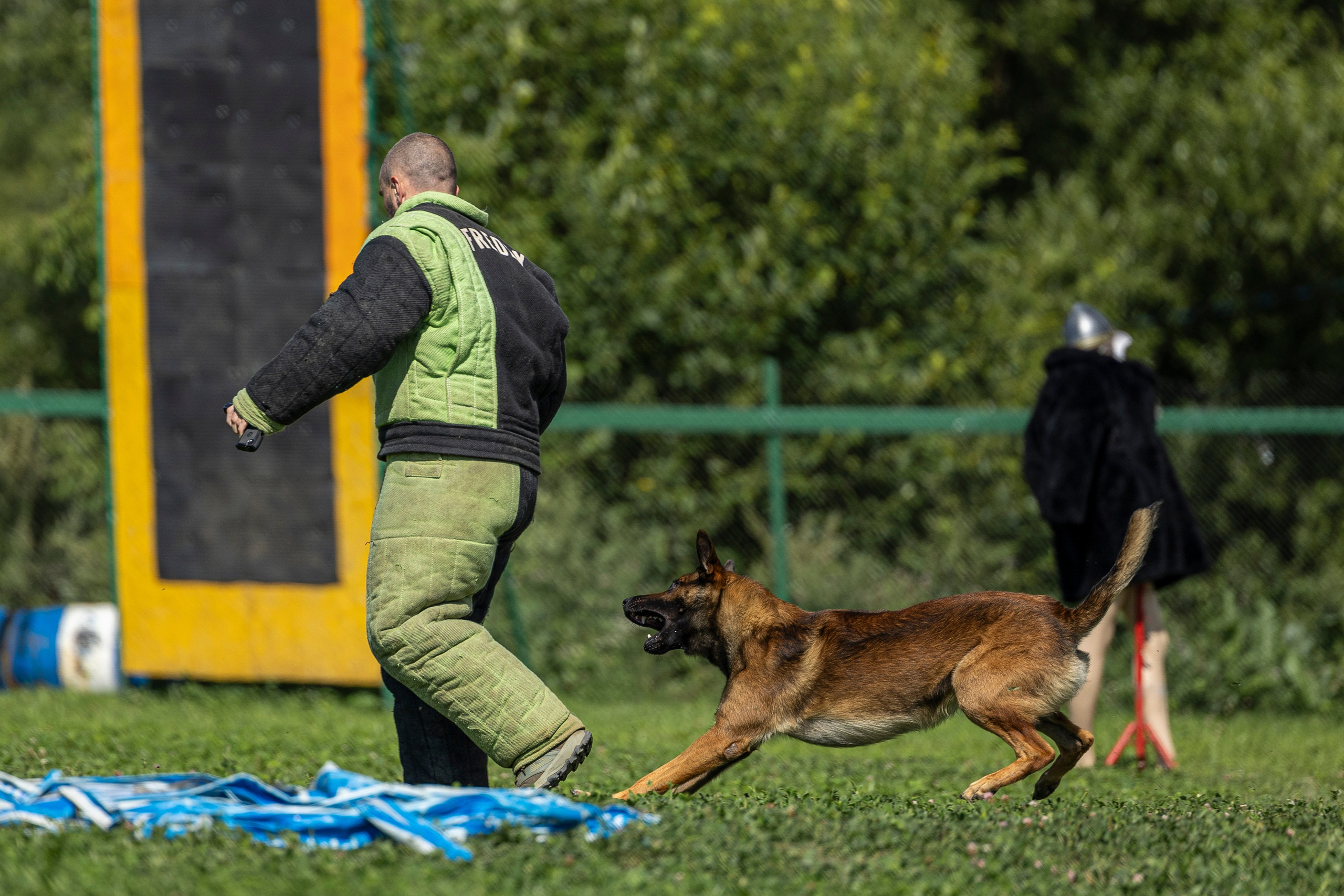 Соревнования по Мондьорингу г. Вологда 10-11.08.2024. Фотограф-анималист Анна Маринич