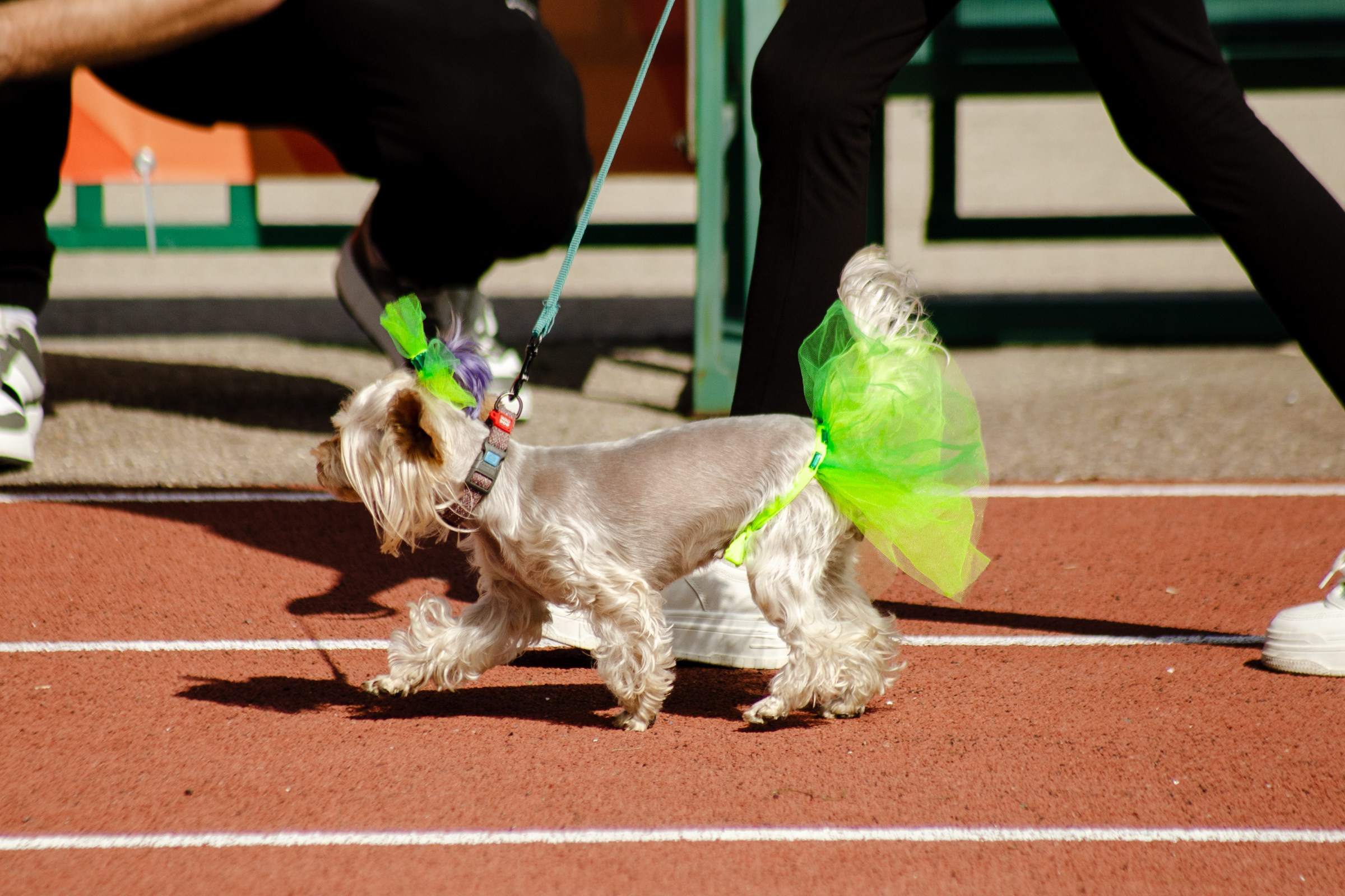 День города Усолье-Сибирское 2024. Фотограф в Иркутске Евгения Айвазова