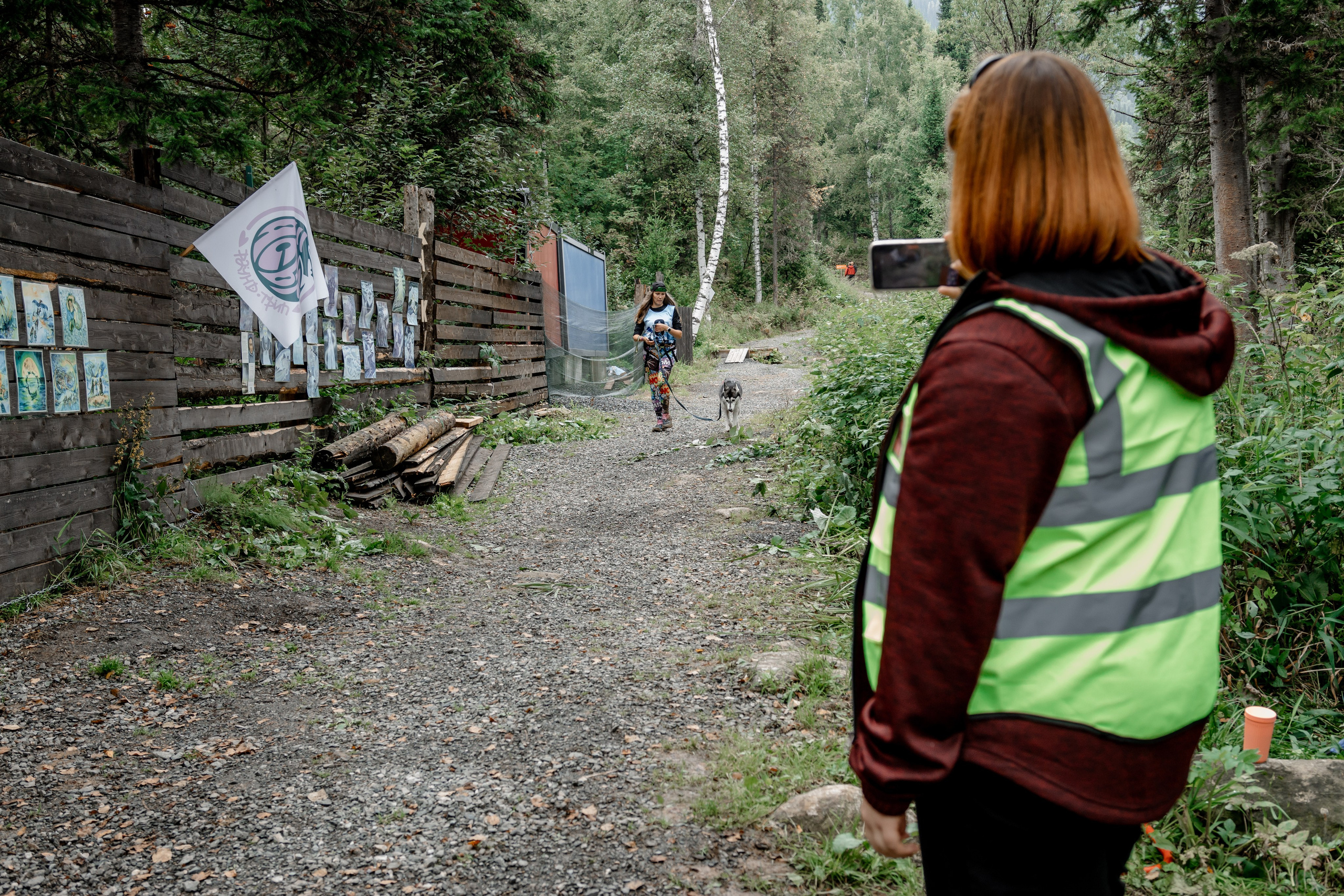 Дог-треккинг