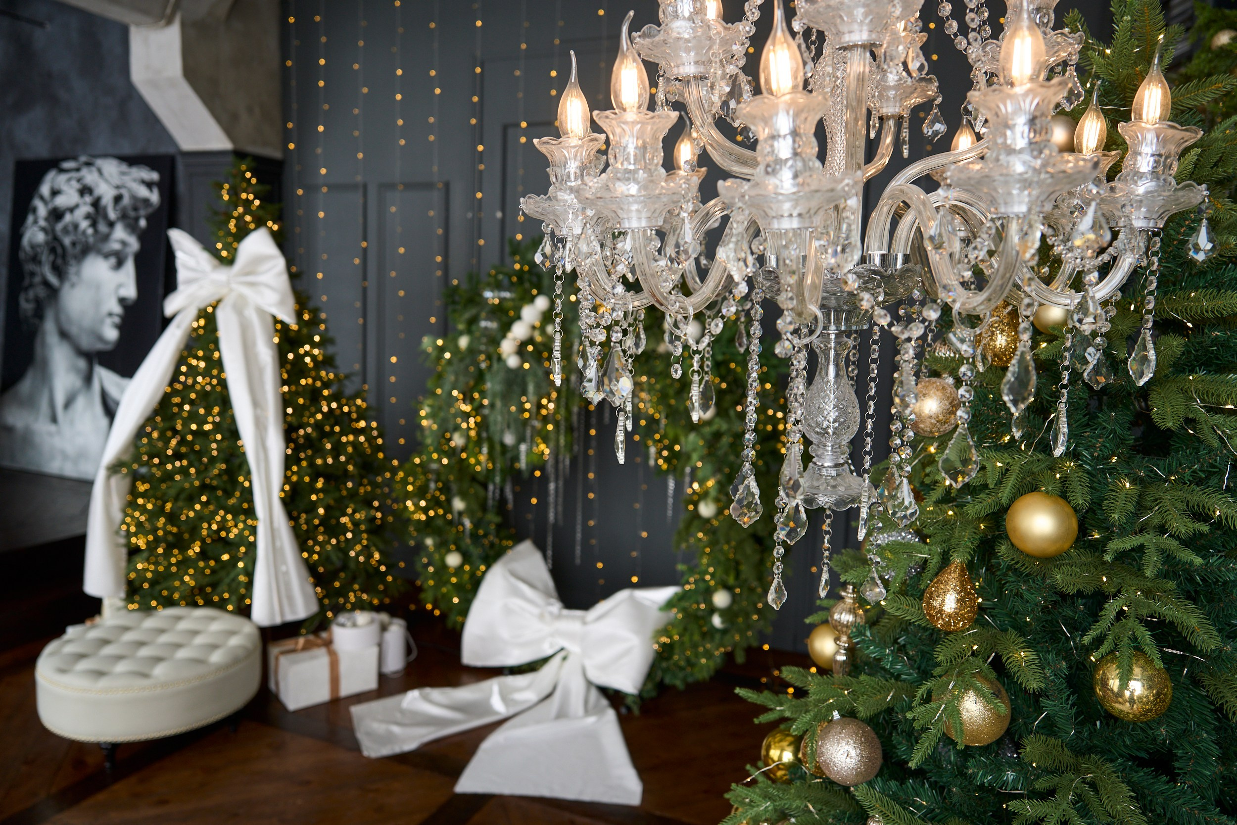 Вуд (Wood). Фотограф г. Хабаровск. Семейные и индивидуальные съёмки