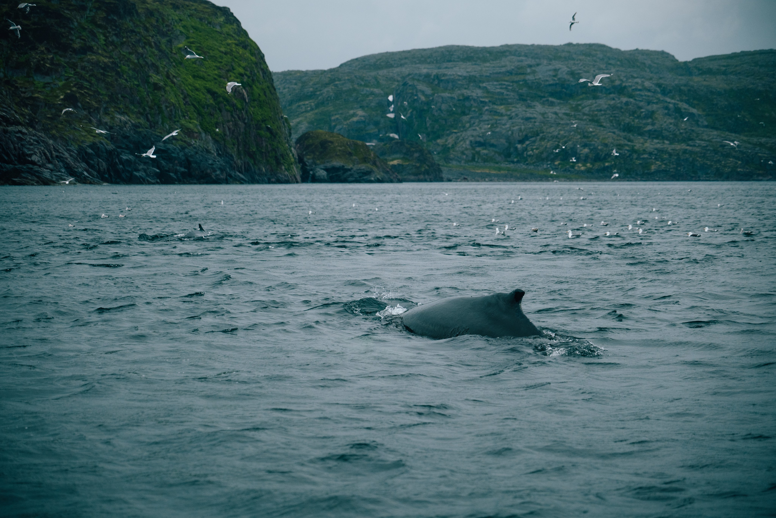 ТЕРИБЕРКА. Создание контента | Фото | Видеосъемка | Александр Ярков