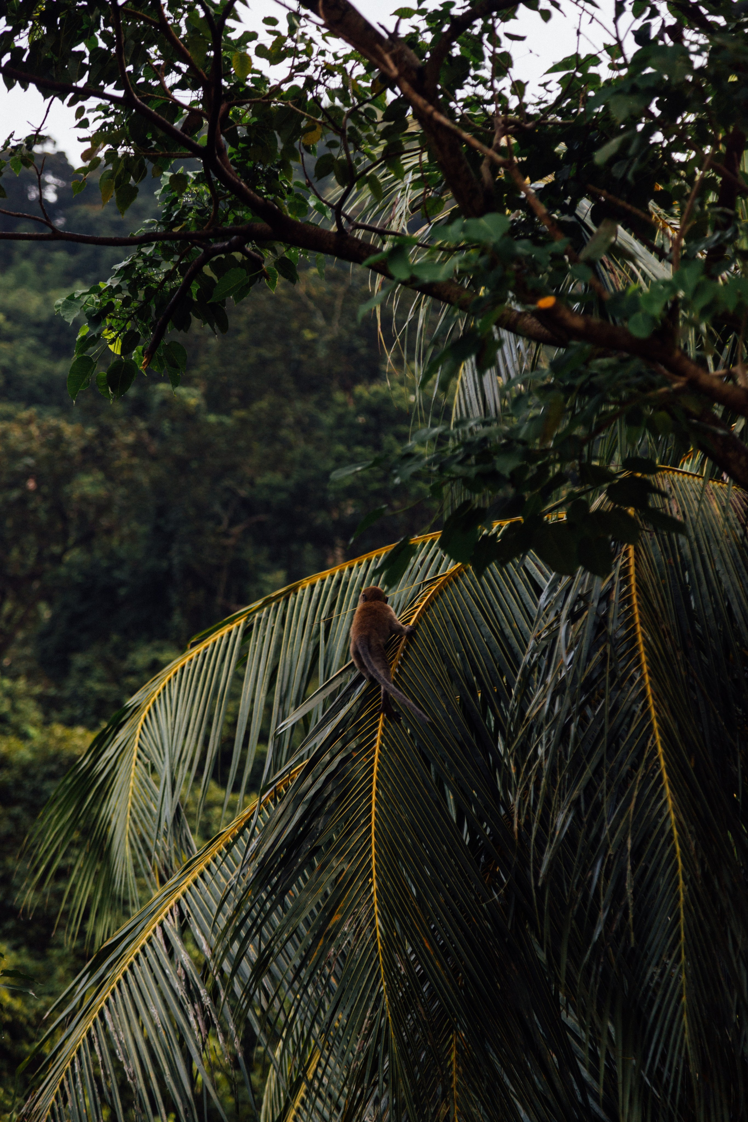 Kuala Lumpur, Malaysia. Главная
