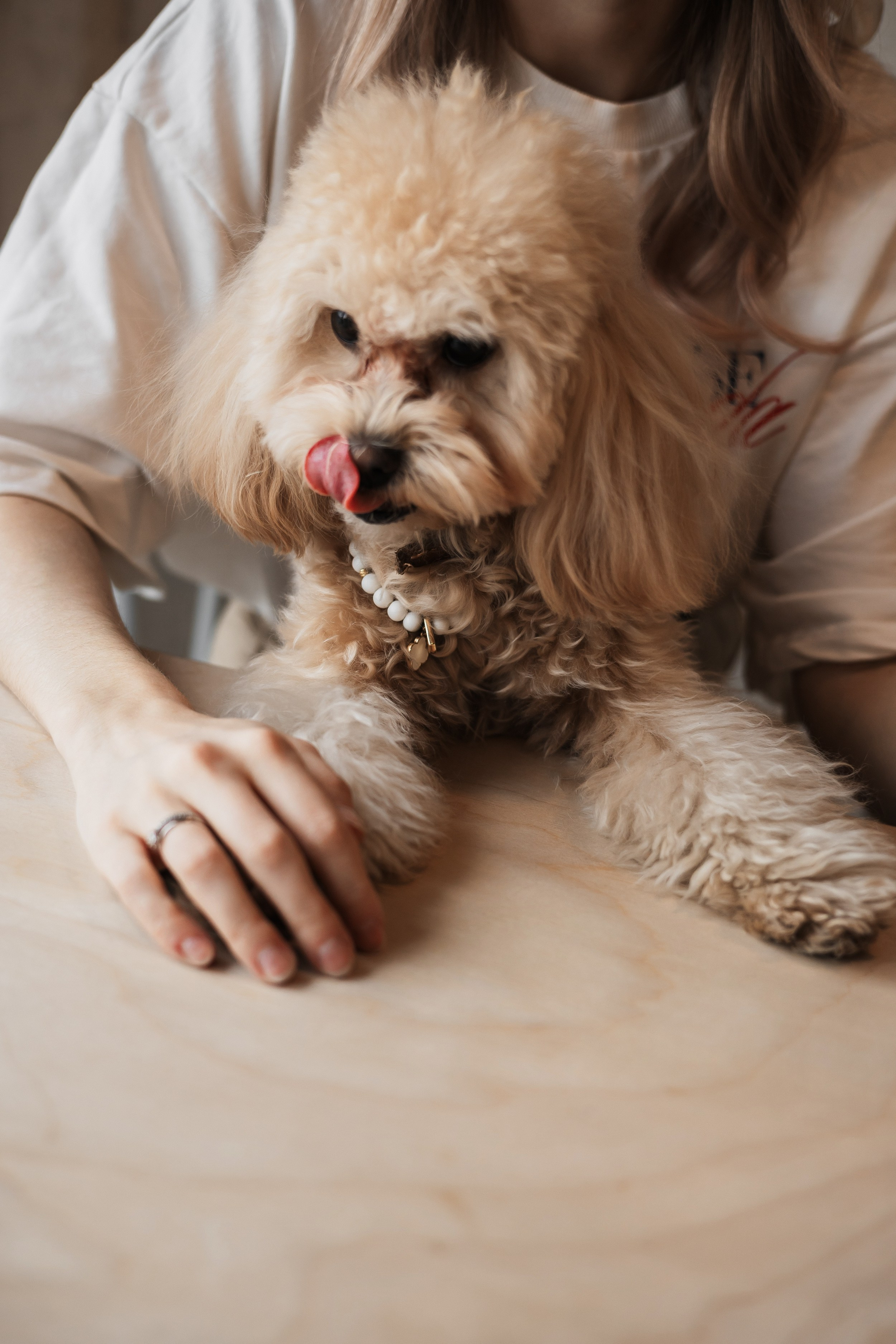 Алина — прогулка