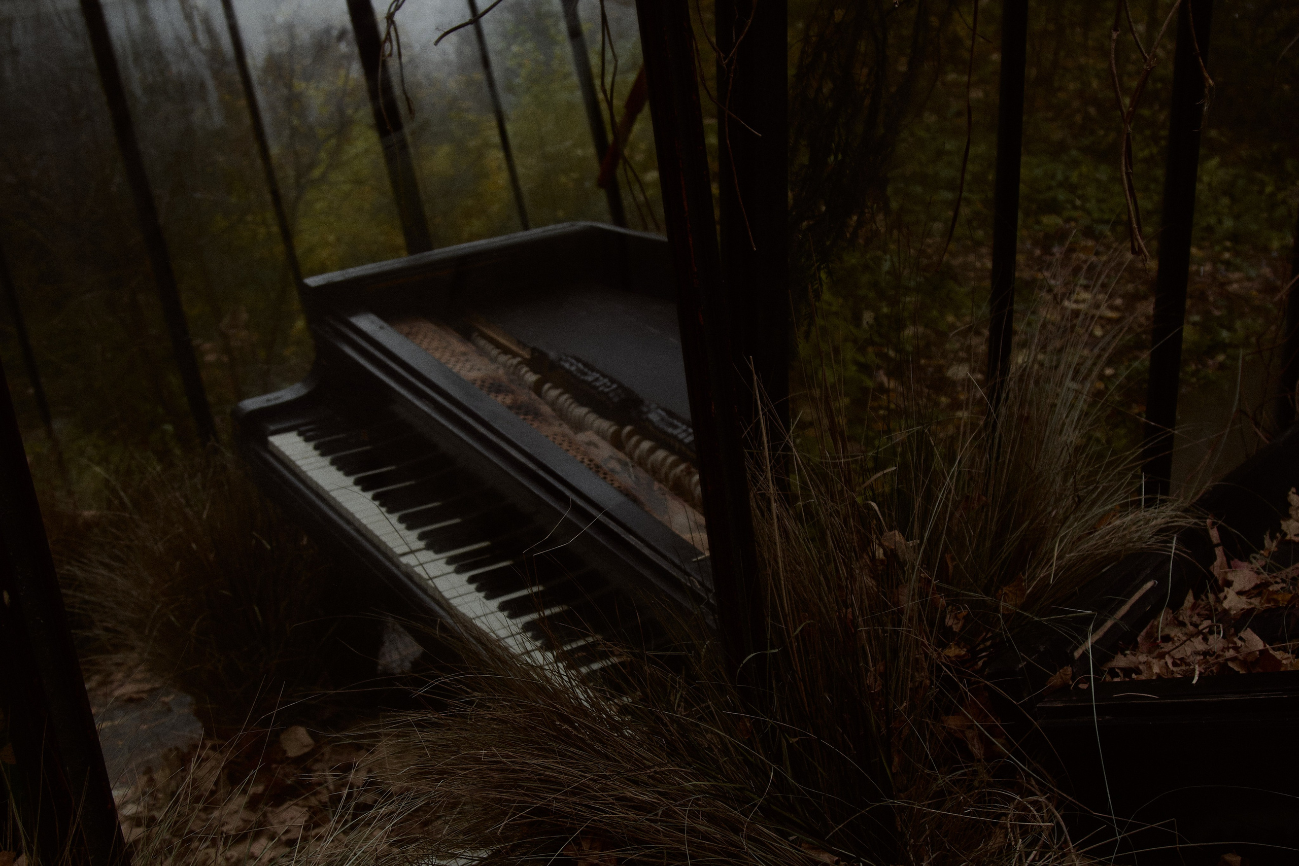 Библиотека. Свадебный фотограф в Москве Приятелева Ангелина