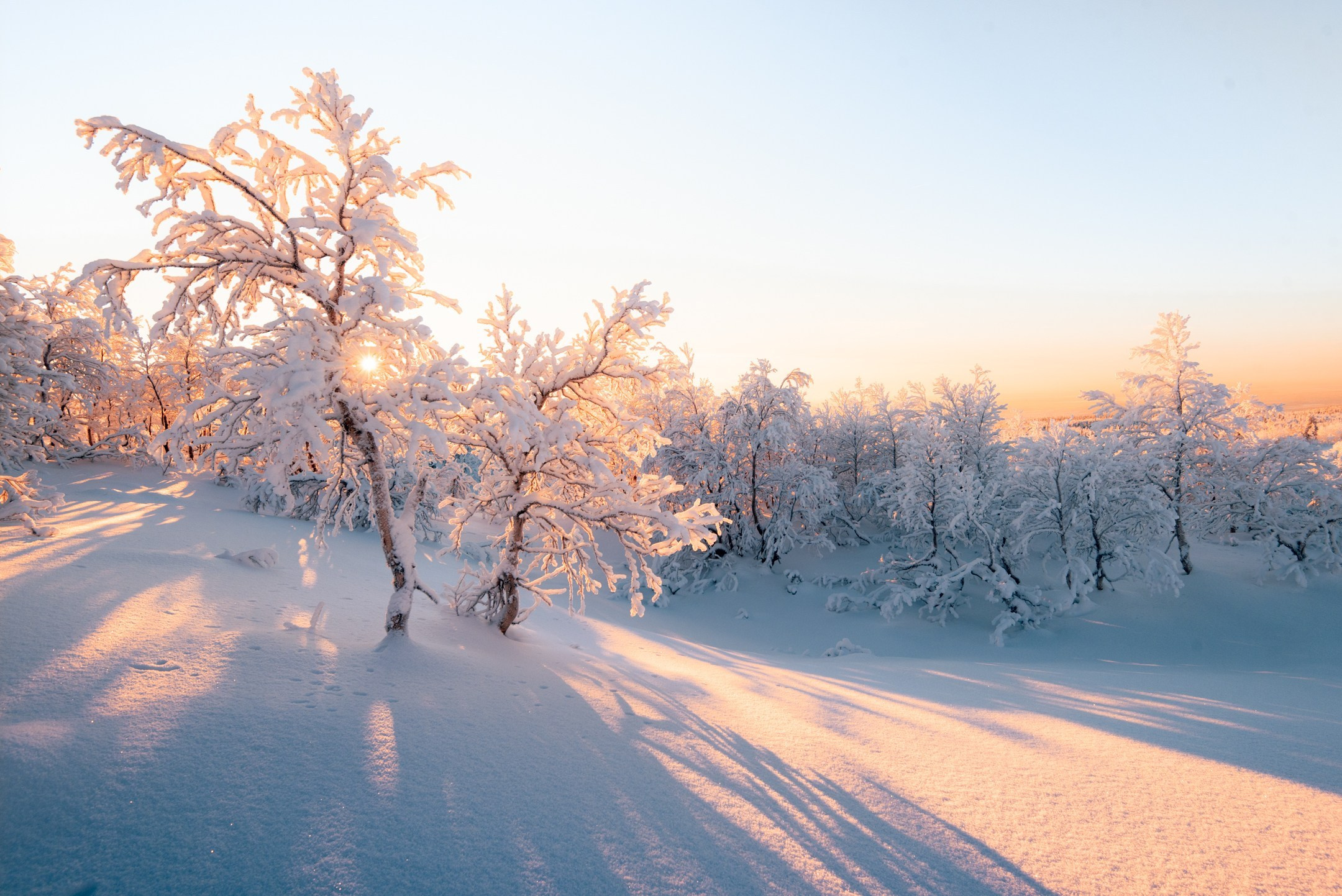 ХИБИНЫ. Пейзажный и тревел-фотограф Алексей Соколенко