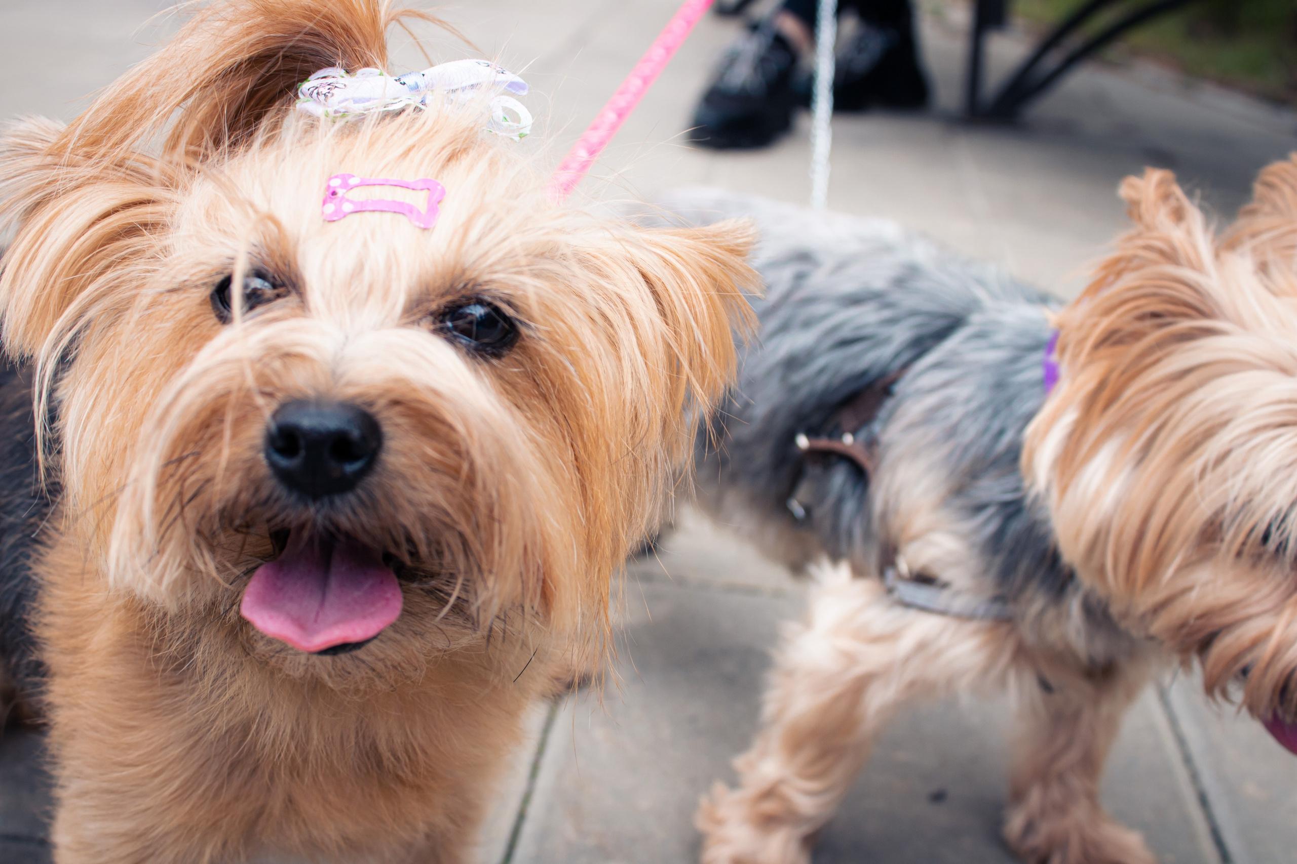 Вдохновение. Бутакова Елена фотограф в Екатеринбурге