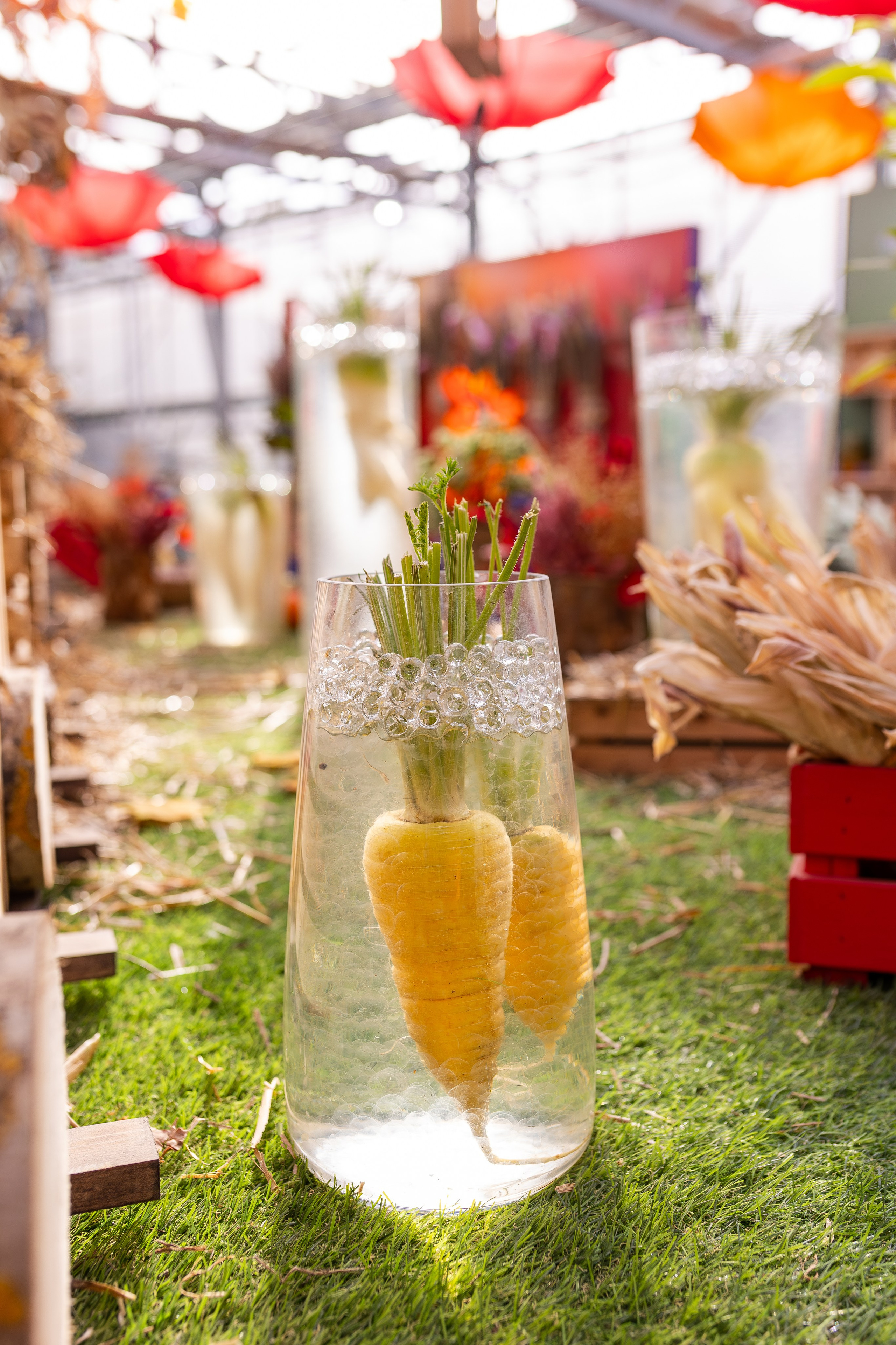 Овощи-гиганты. Александра Куликова фотограф, Москва