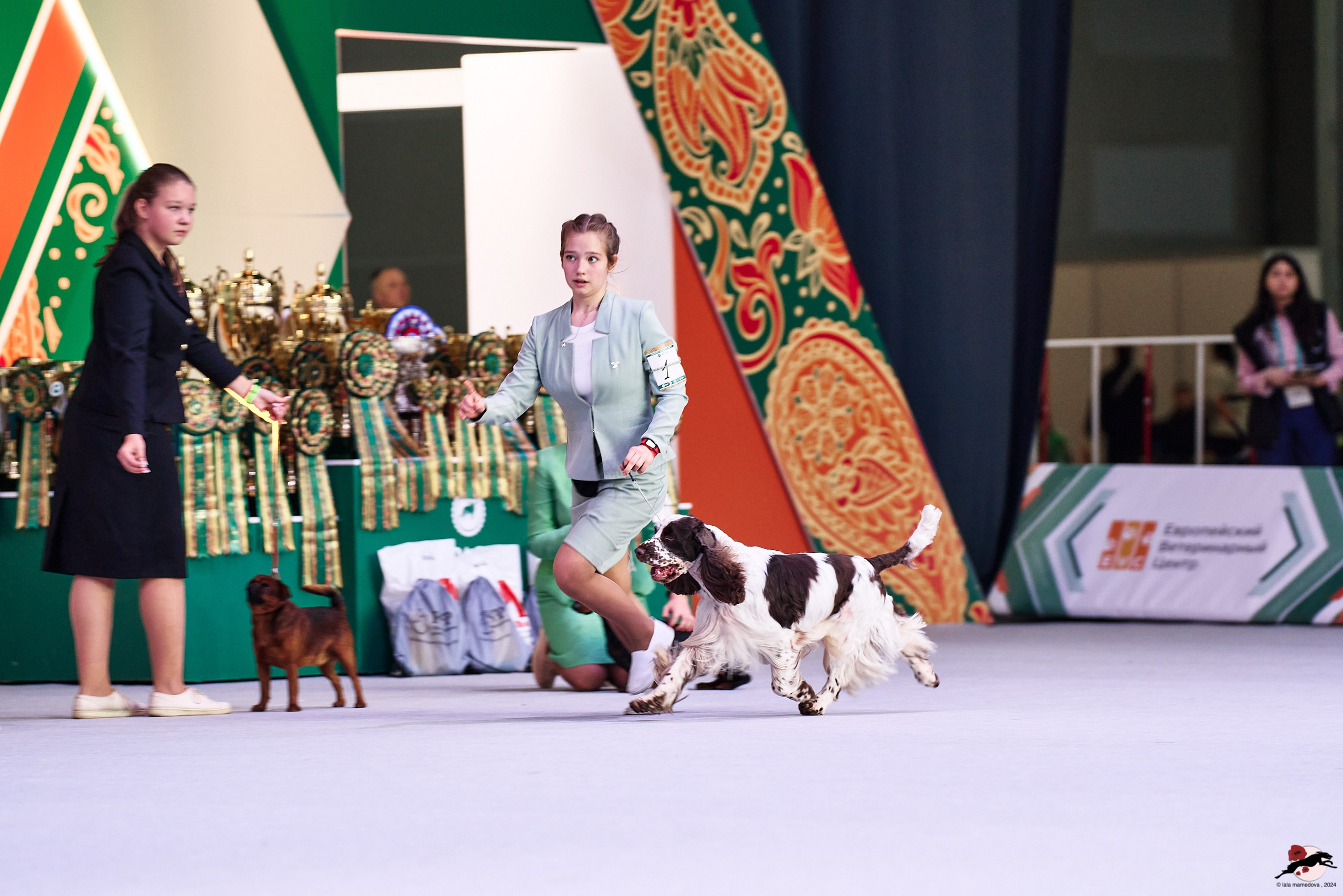 16.11.2024 «ЕВРАЗИЯ. КУБОК ПРЕЗИДЕНТА РКФ 2024»