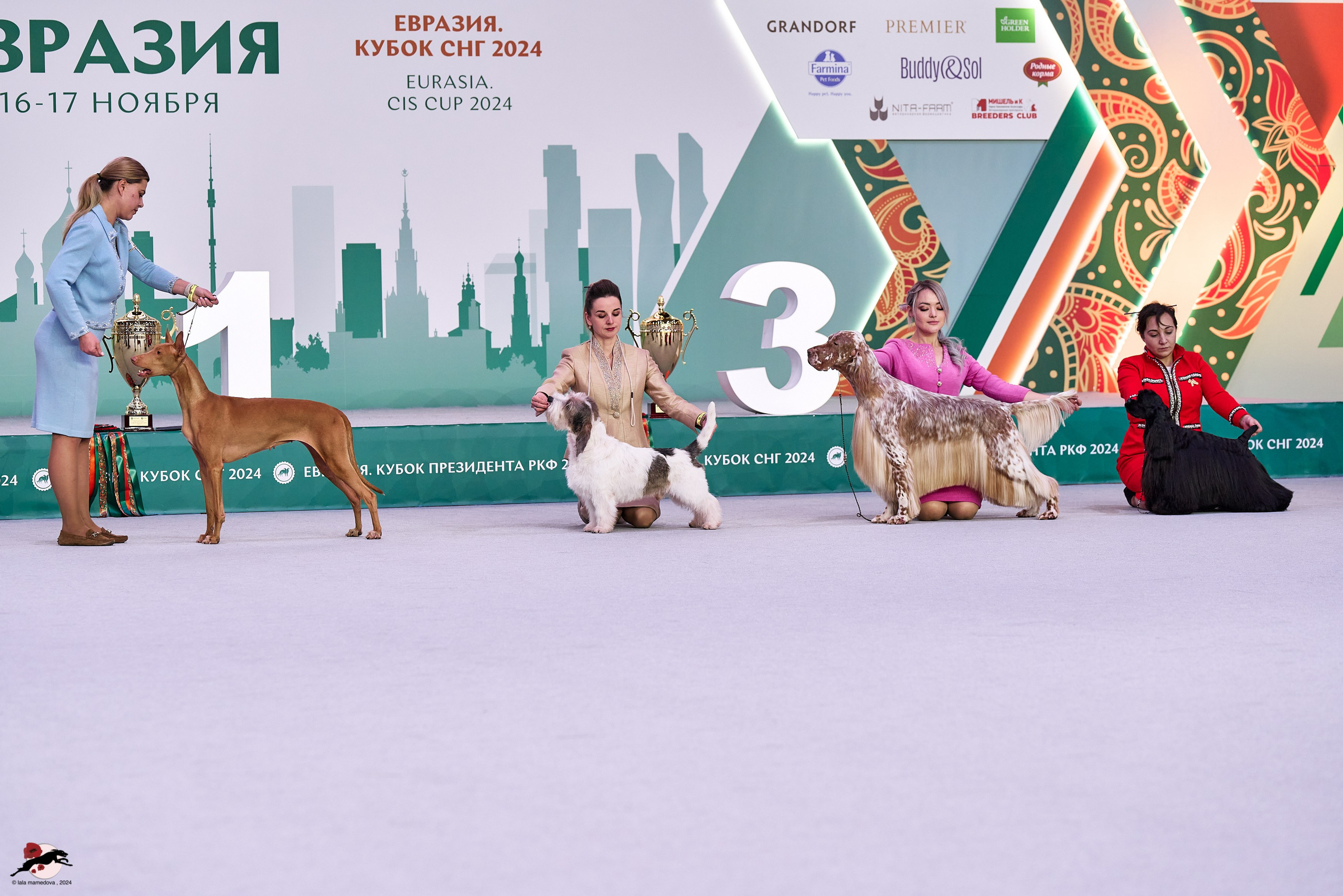 17.11.2024 «ЕВРАЗИЯ. КУБОК СНГ 2024»