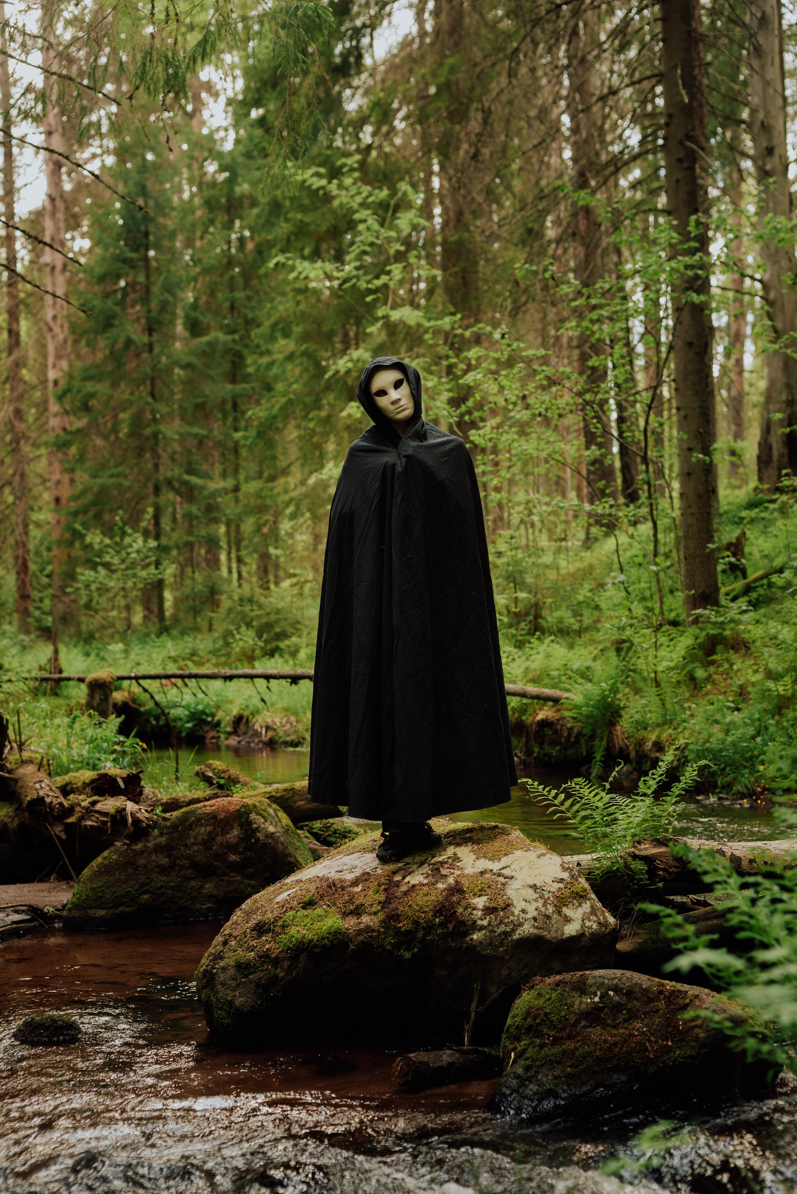 Догтрекинг. Фотограф в Санкт-Петербурге и Ленинградской области