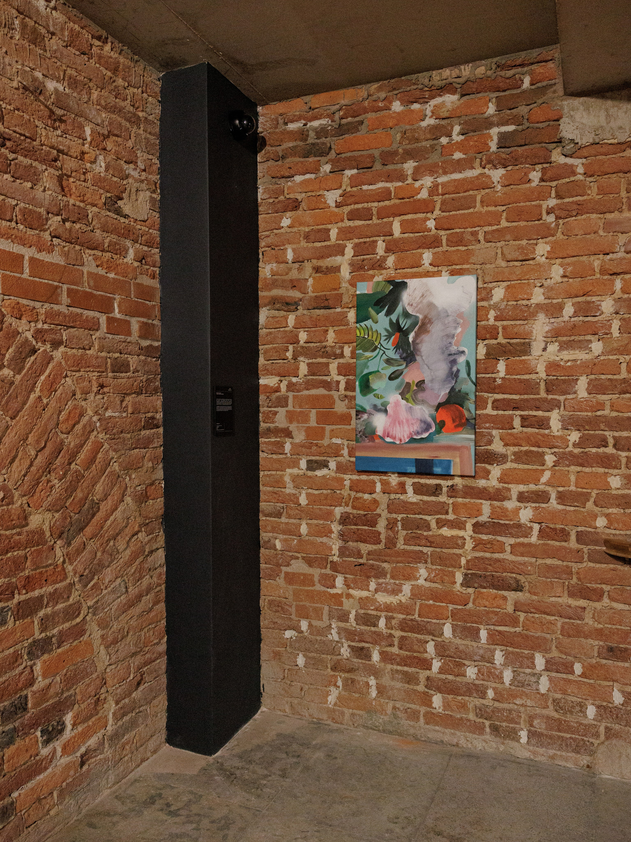 STAY HIDEOUT. Anna Zavediy