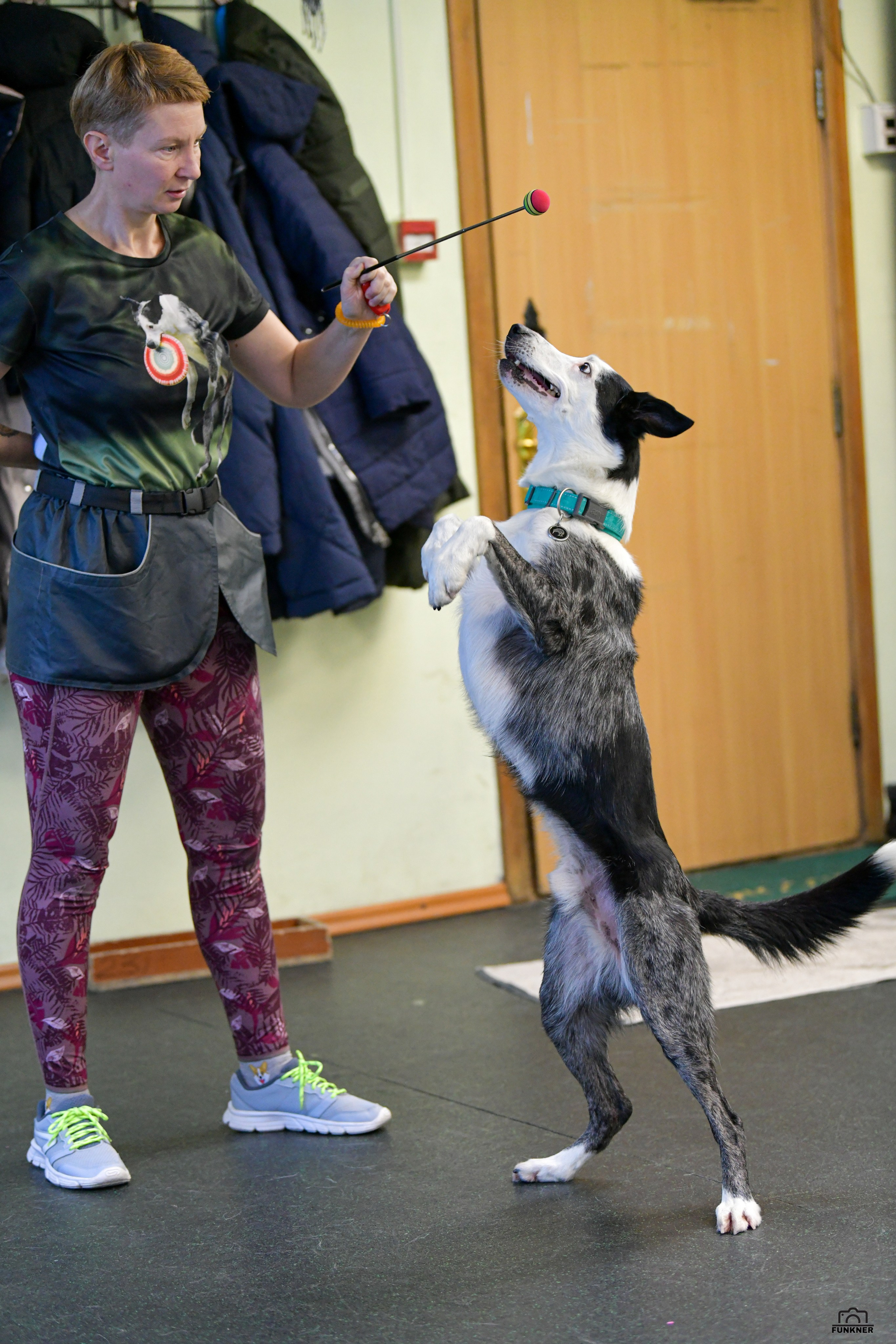 Кинологический клуб «Бодрый хвост». Свой взгляд через объектив