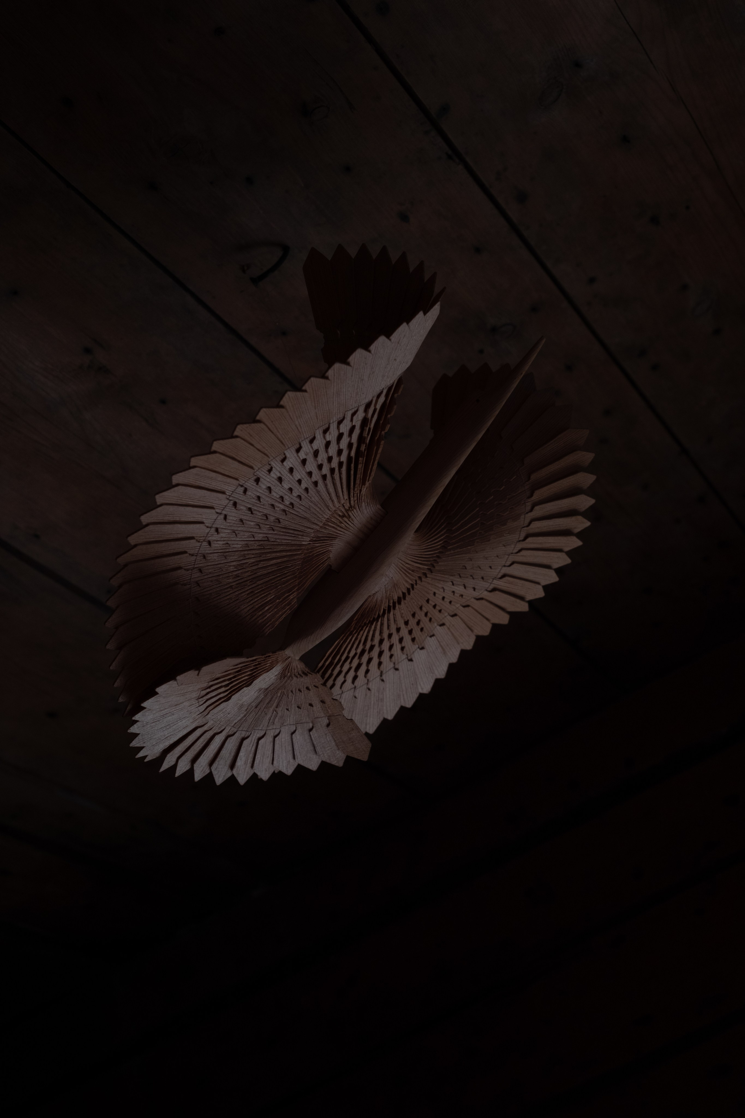 Птица. Кристина — портретный фотограф