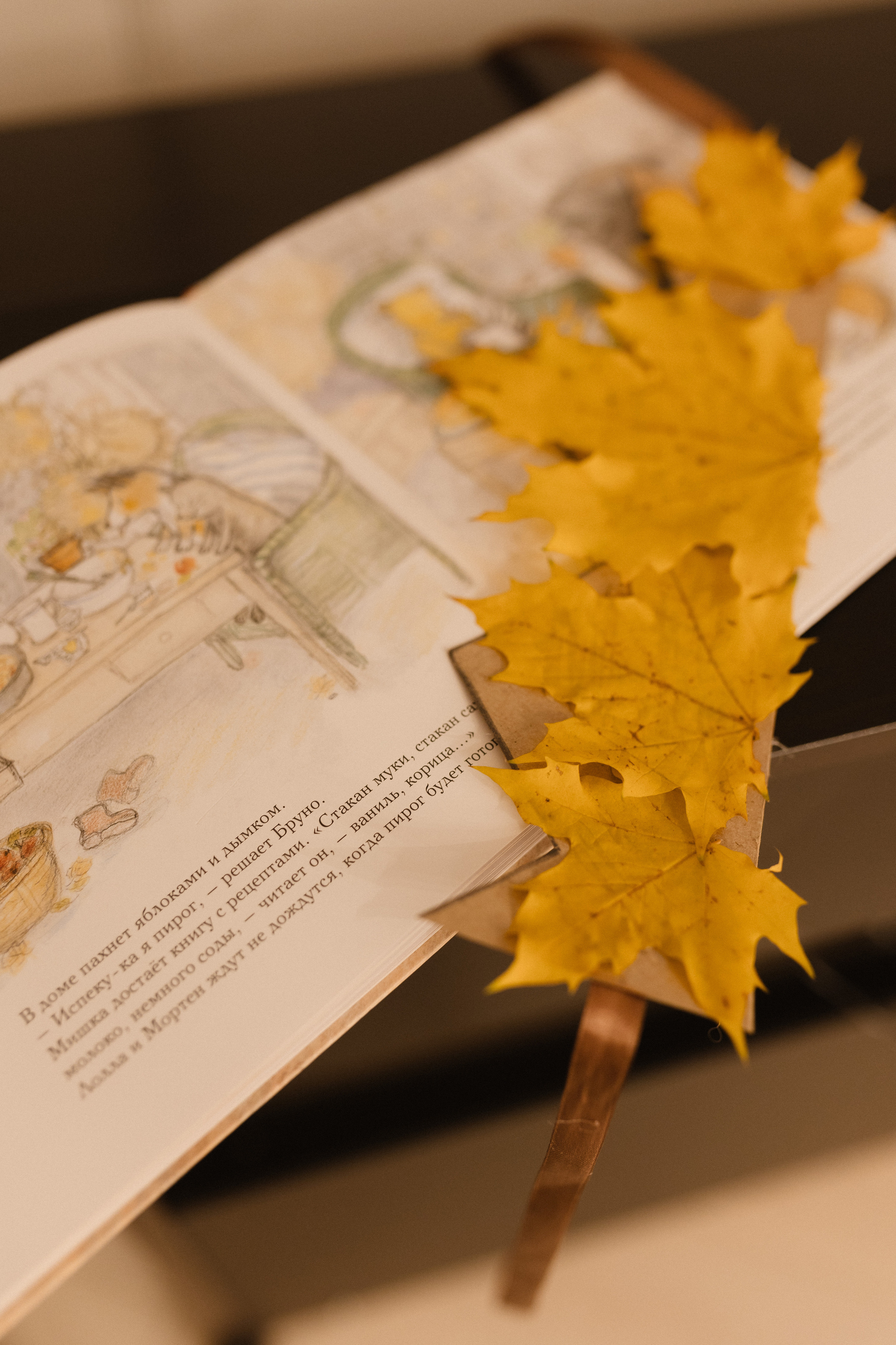 Мишка Бруно в стрекозе. Репортажный фотограф в Санкт-Петербурге и Москве Мария Ежова