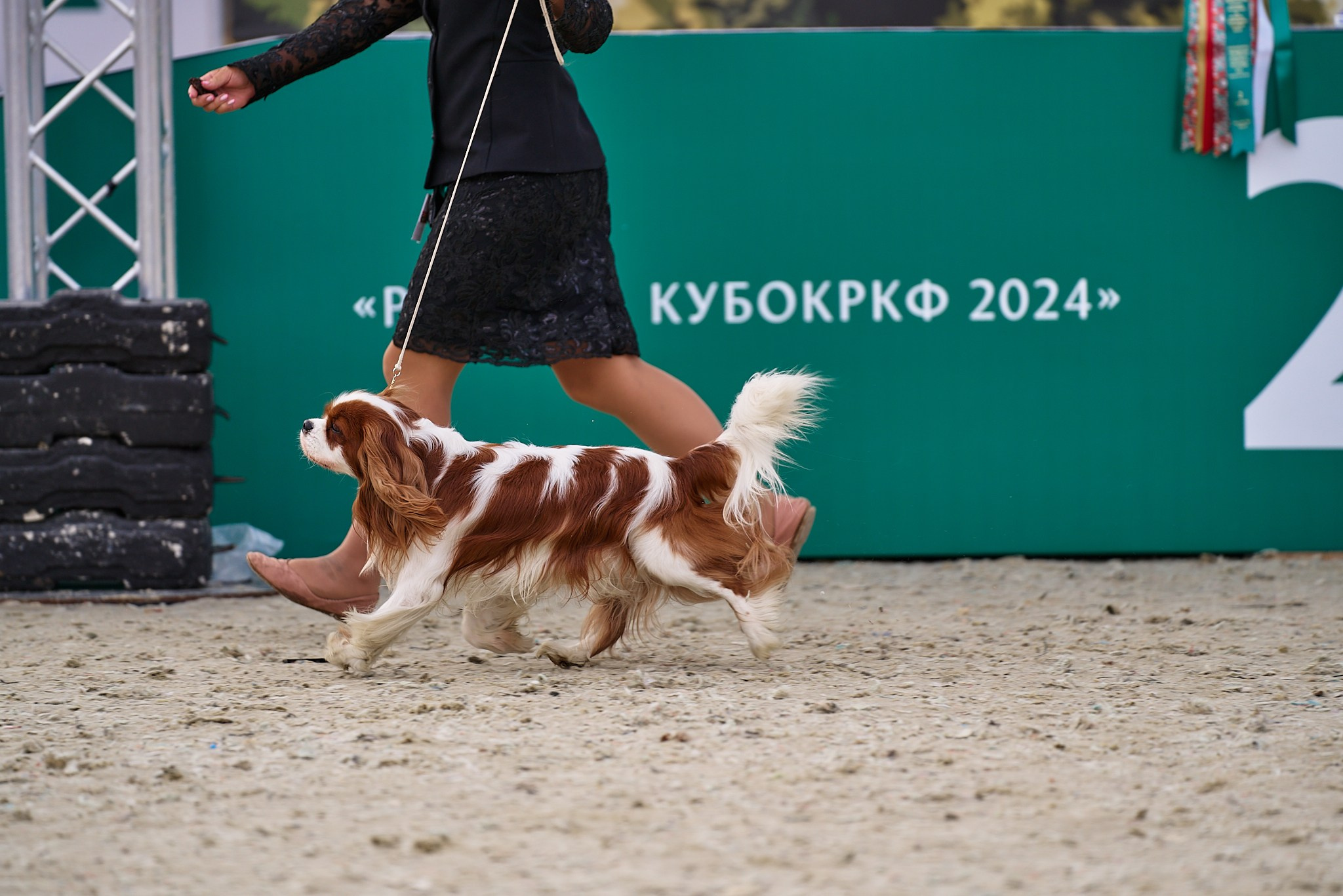 09.06.2024, «РОССИЯ. КУБОК МОСКВЫ 2024 & КУБОК ГОРОДОВ-ГЕРОЕВ»