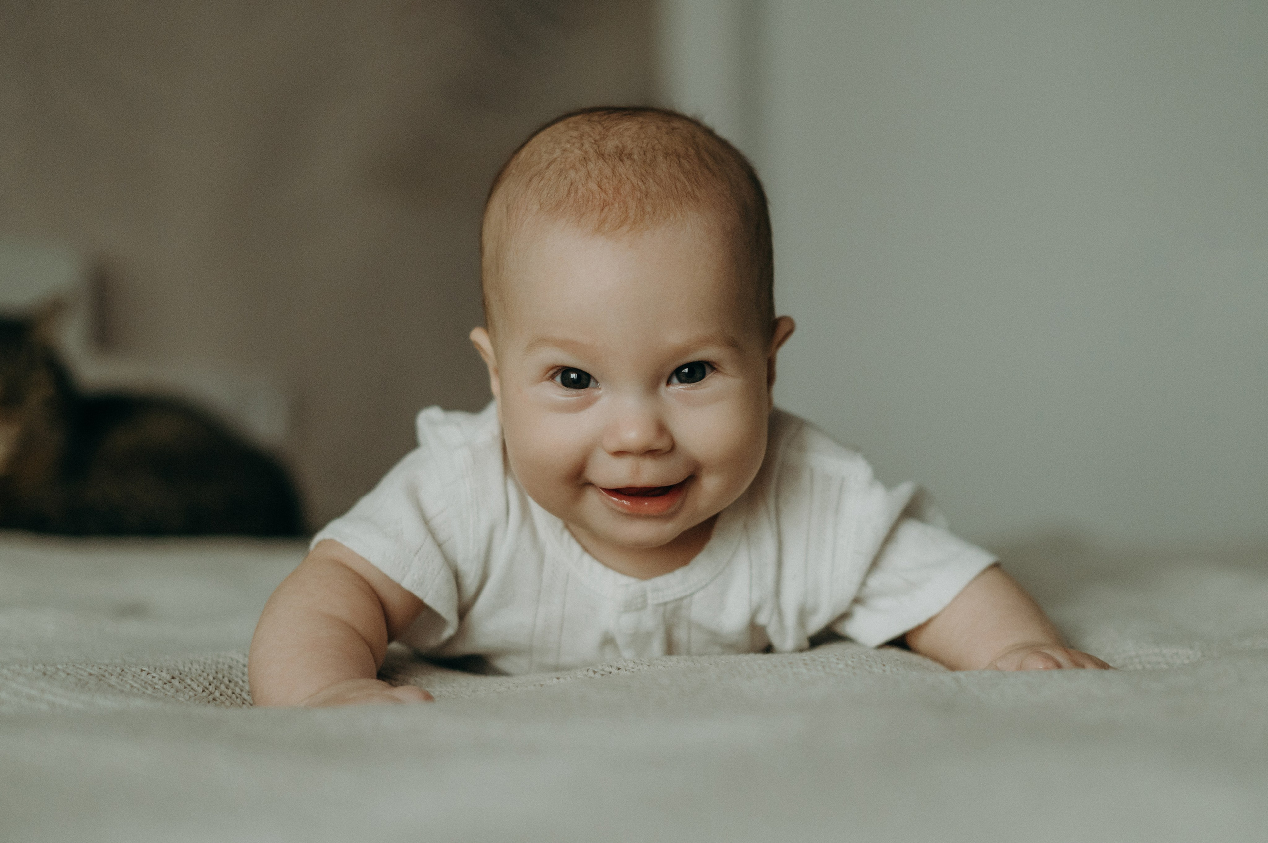 Агата, Катя, Руслан. Свадебный фотограф, фотограф беременности Дарья Доценко