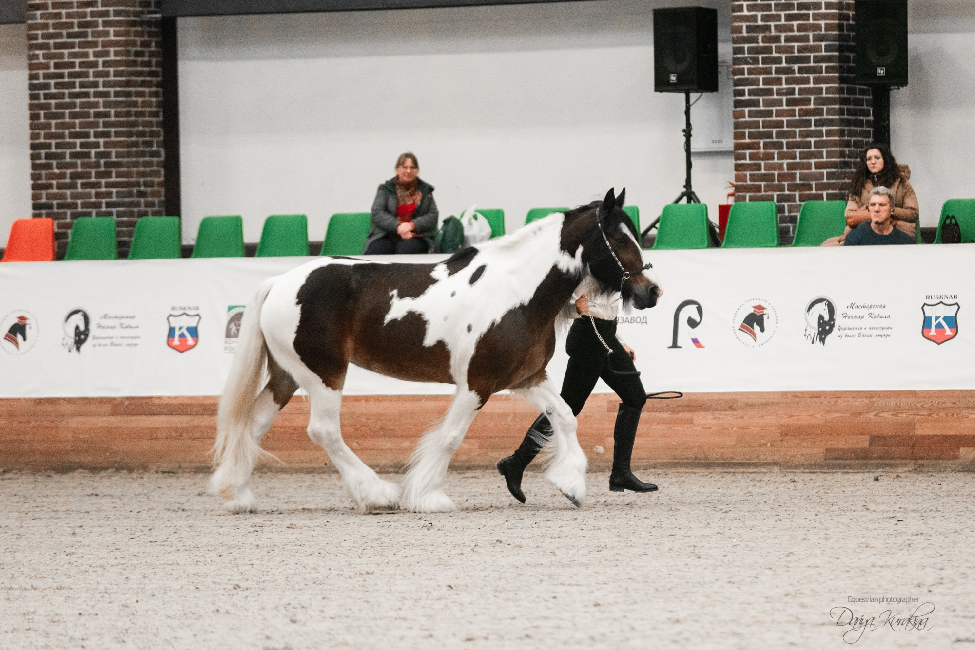 8-я международная выставка Конная Россия. Конный фотограф Куракина Дарья • Фотосессии с лошадьми