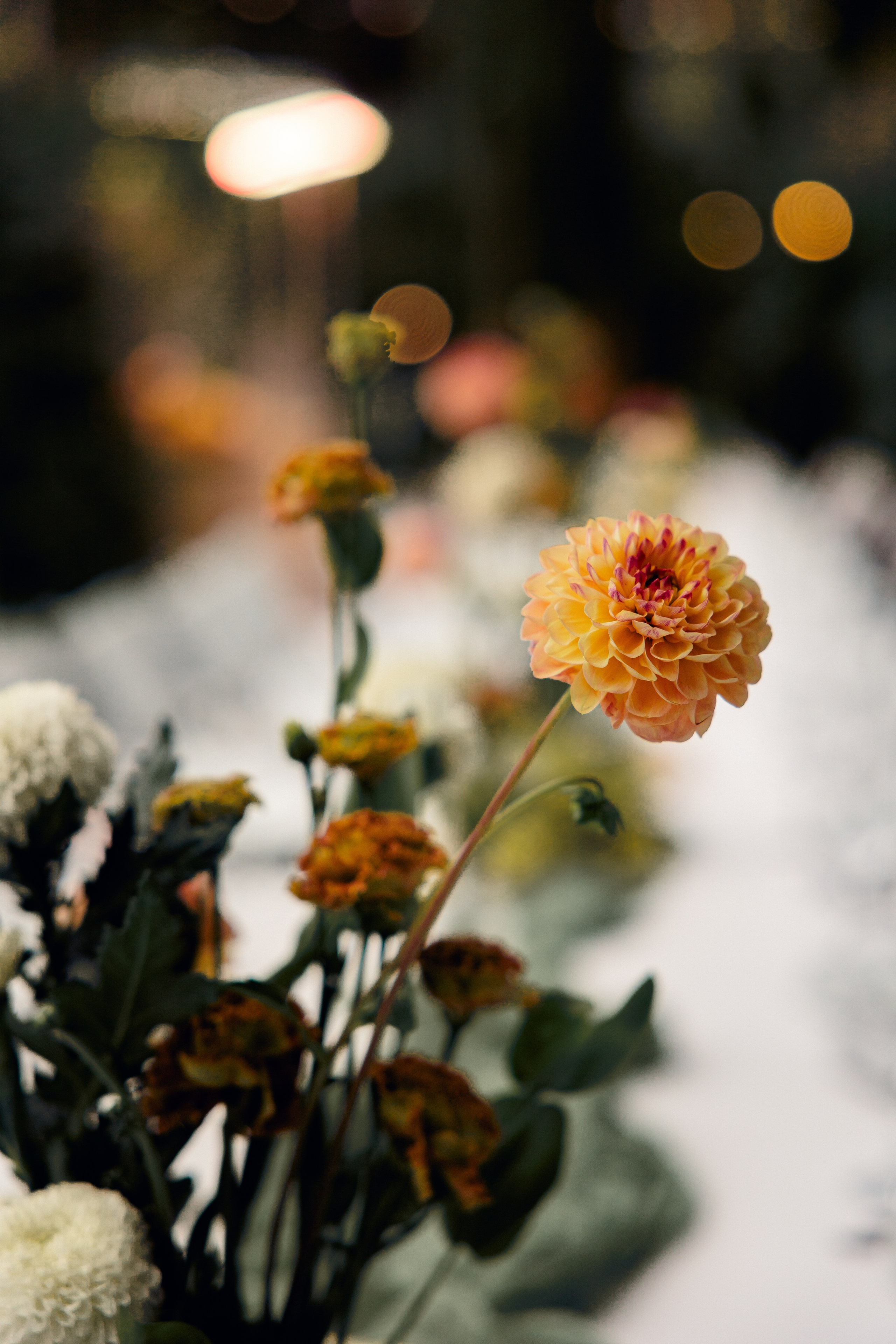Свадебный фотограф в Санкт-Петербурге Настасья Север