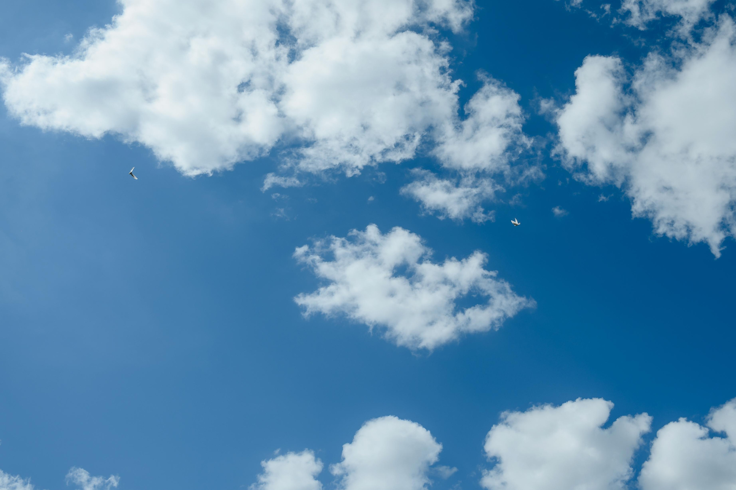 Андрей и Кристина. Фото-видеосъемка свадеб Venson Films