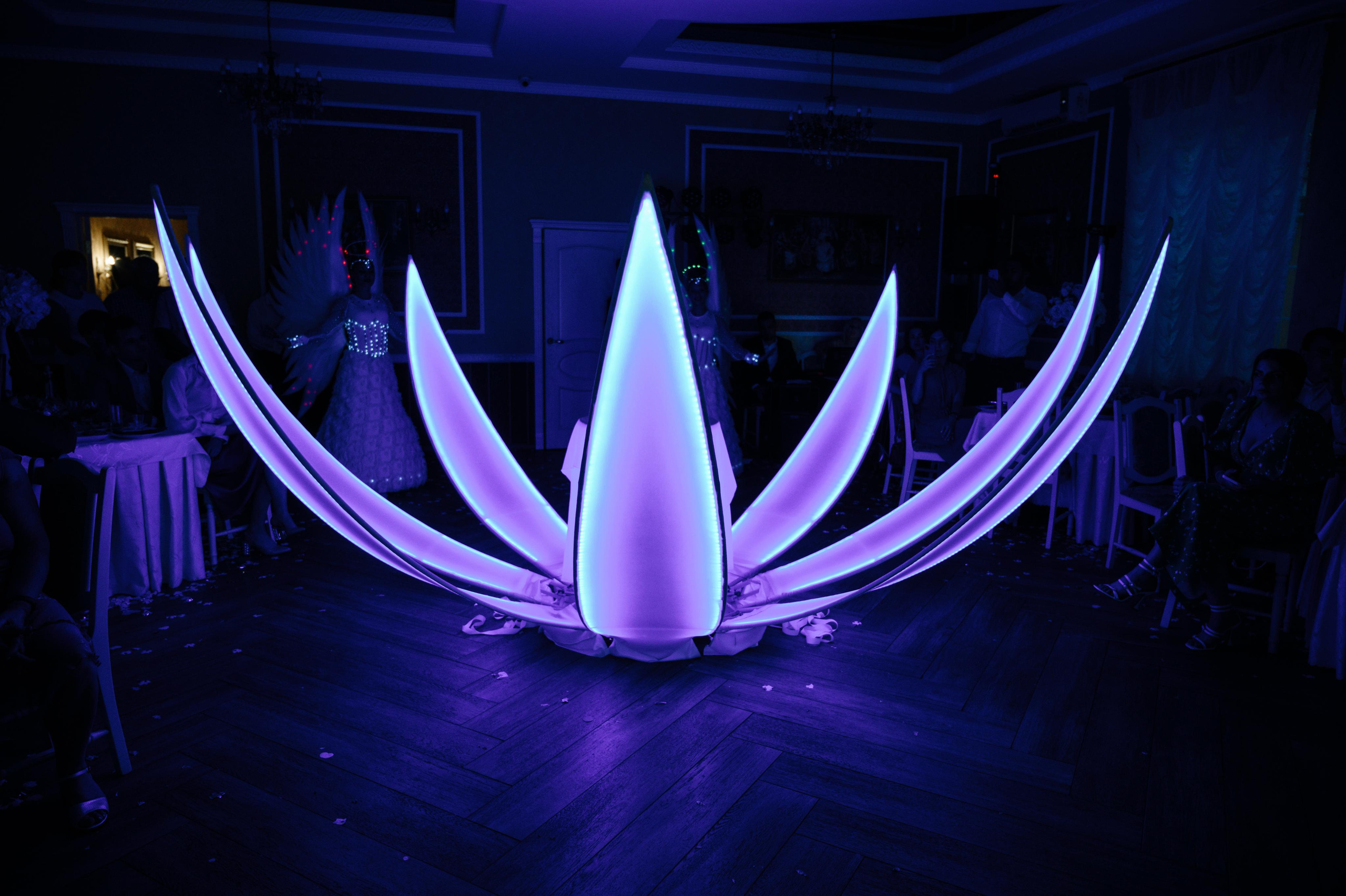 Андрей и Кристина. Фото-видеосъемка свадеб Venson Films